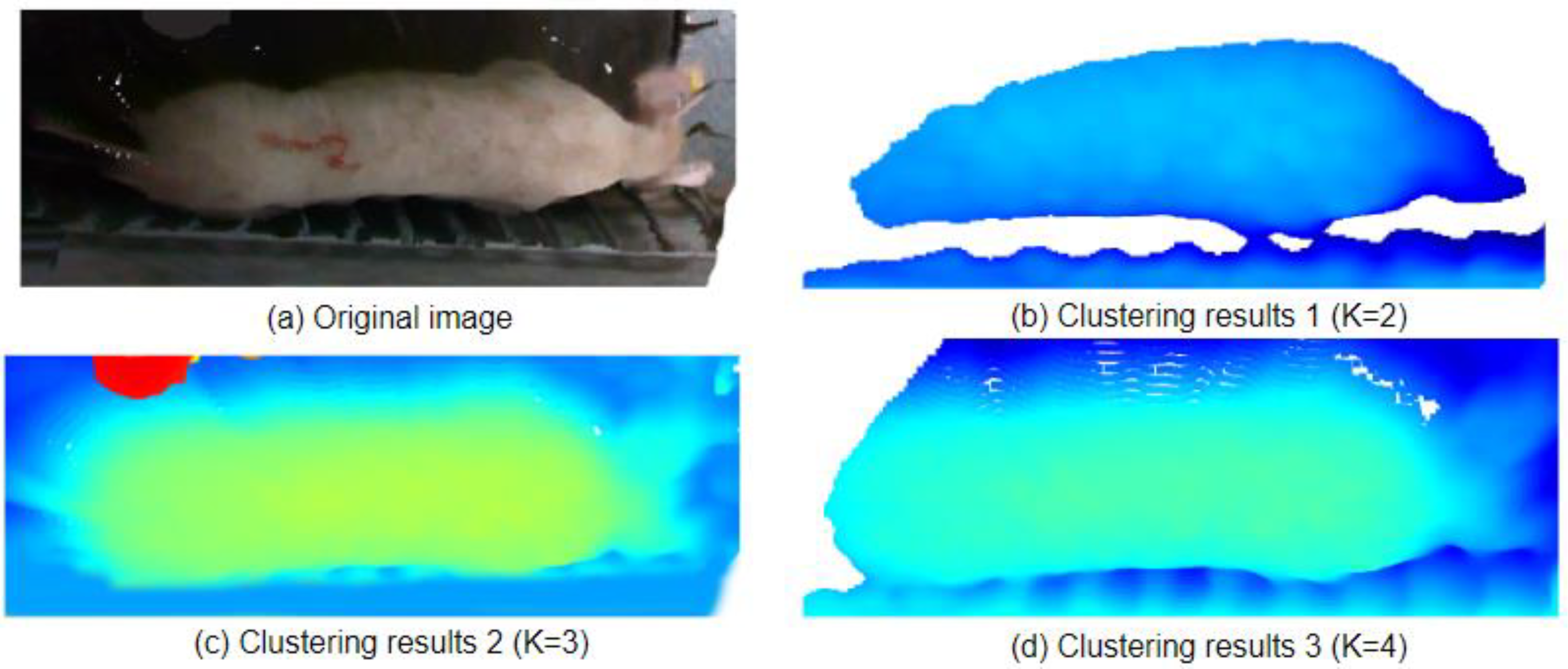 Animals 14 01046 g013