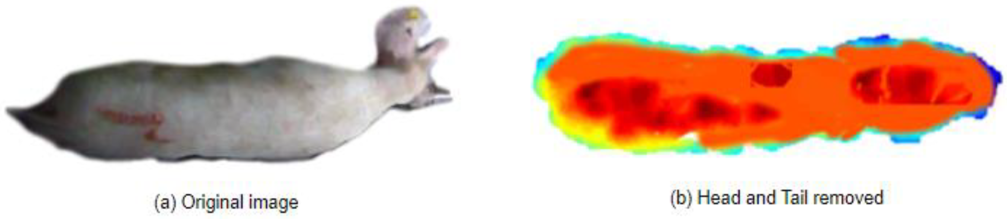 Animals 14 01046 g014