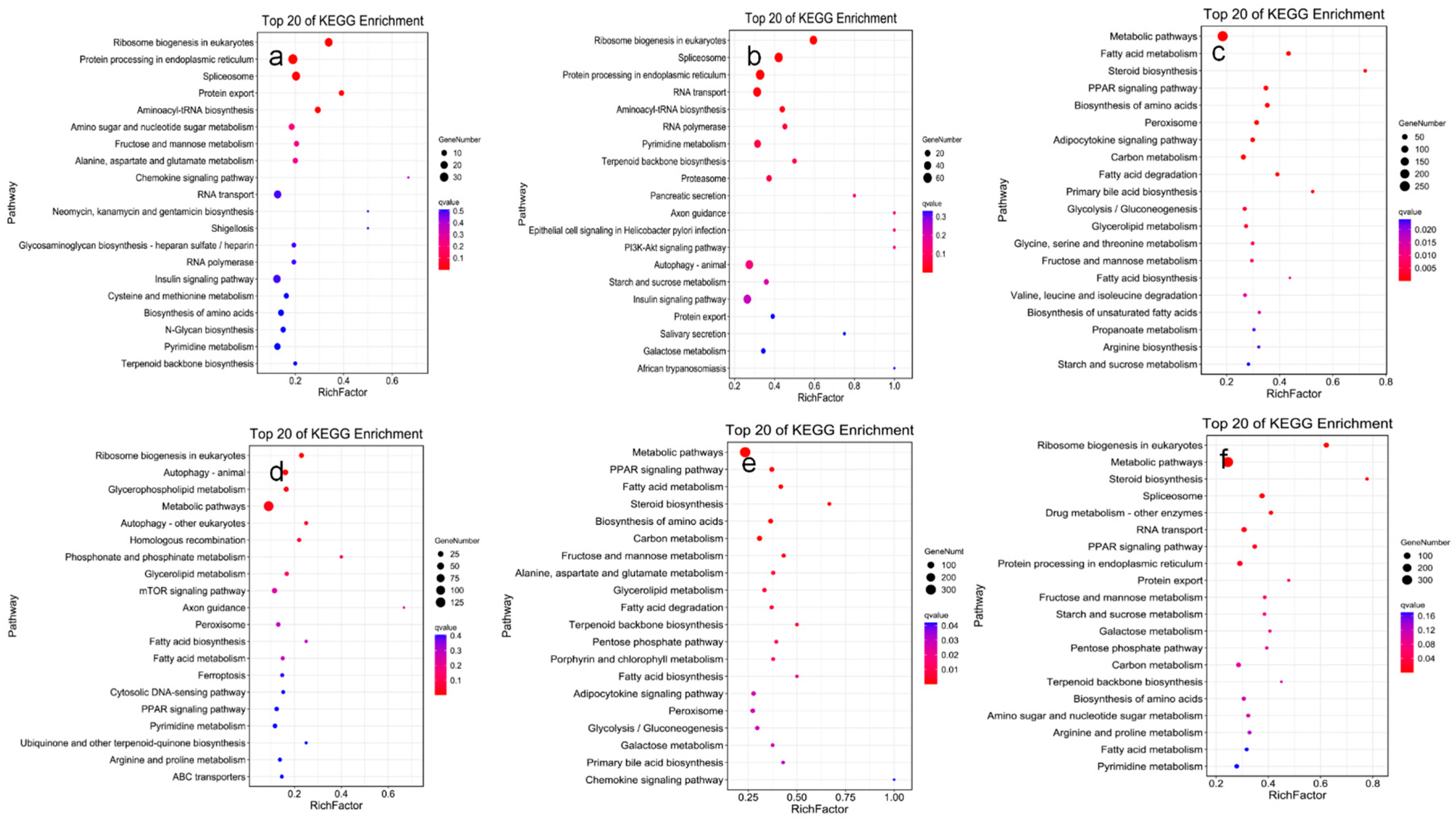 Animals 14 01059 g003