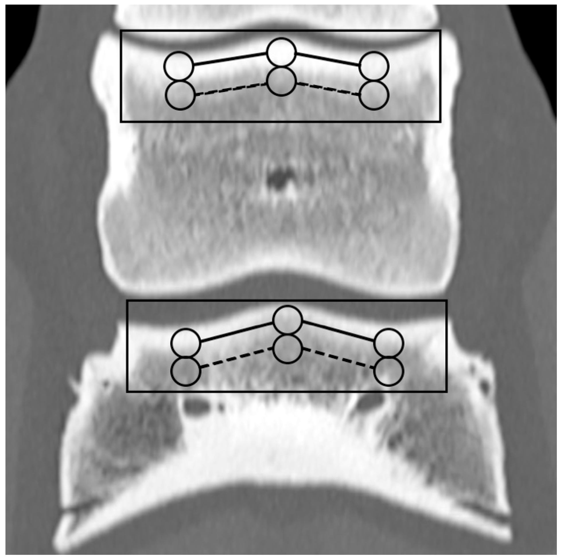 Animals 14 01064 g003