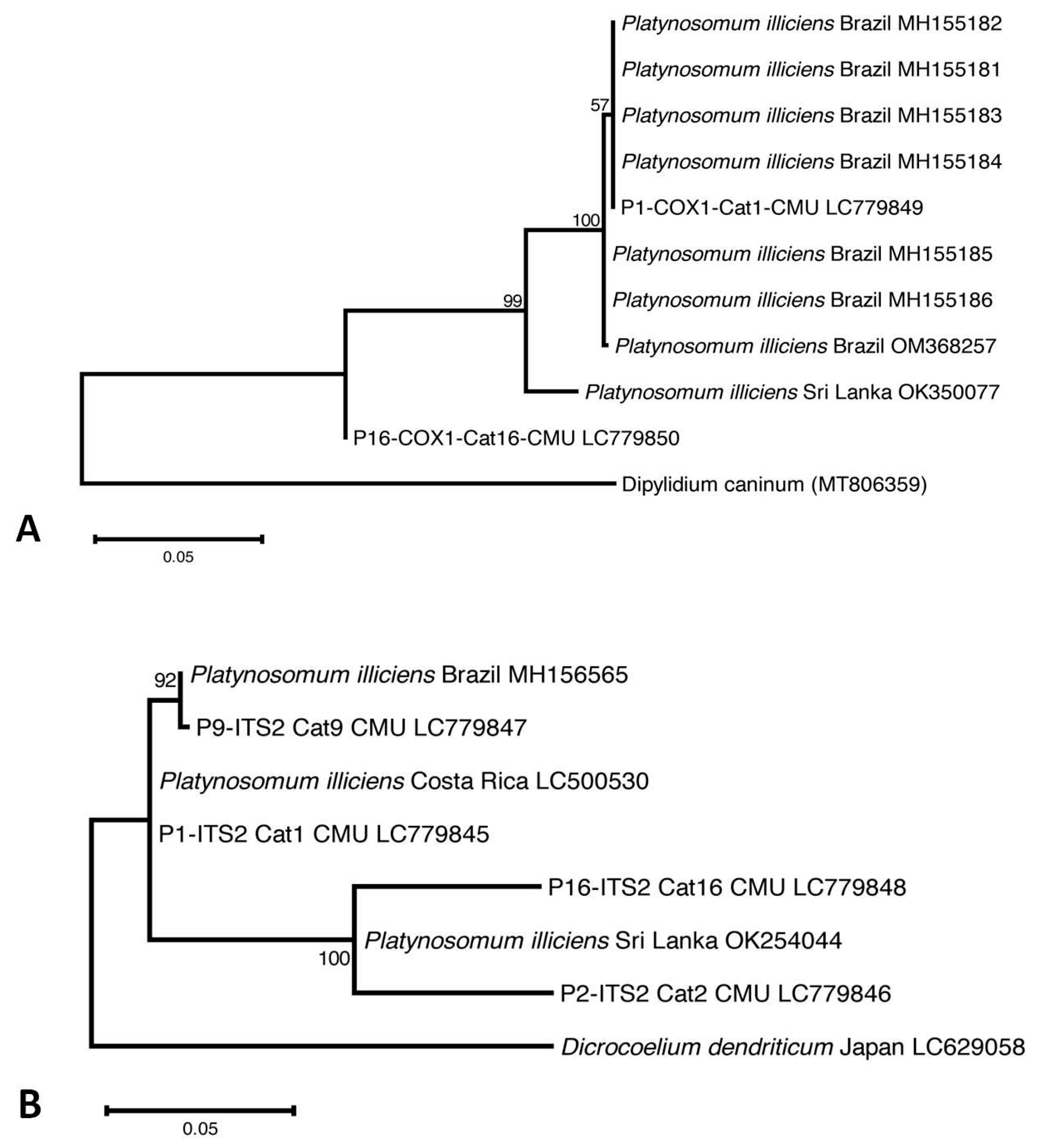 Animals 14 01065 g003