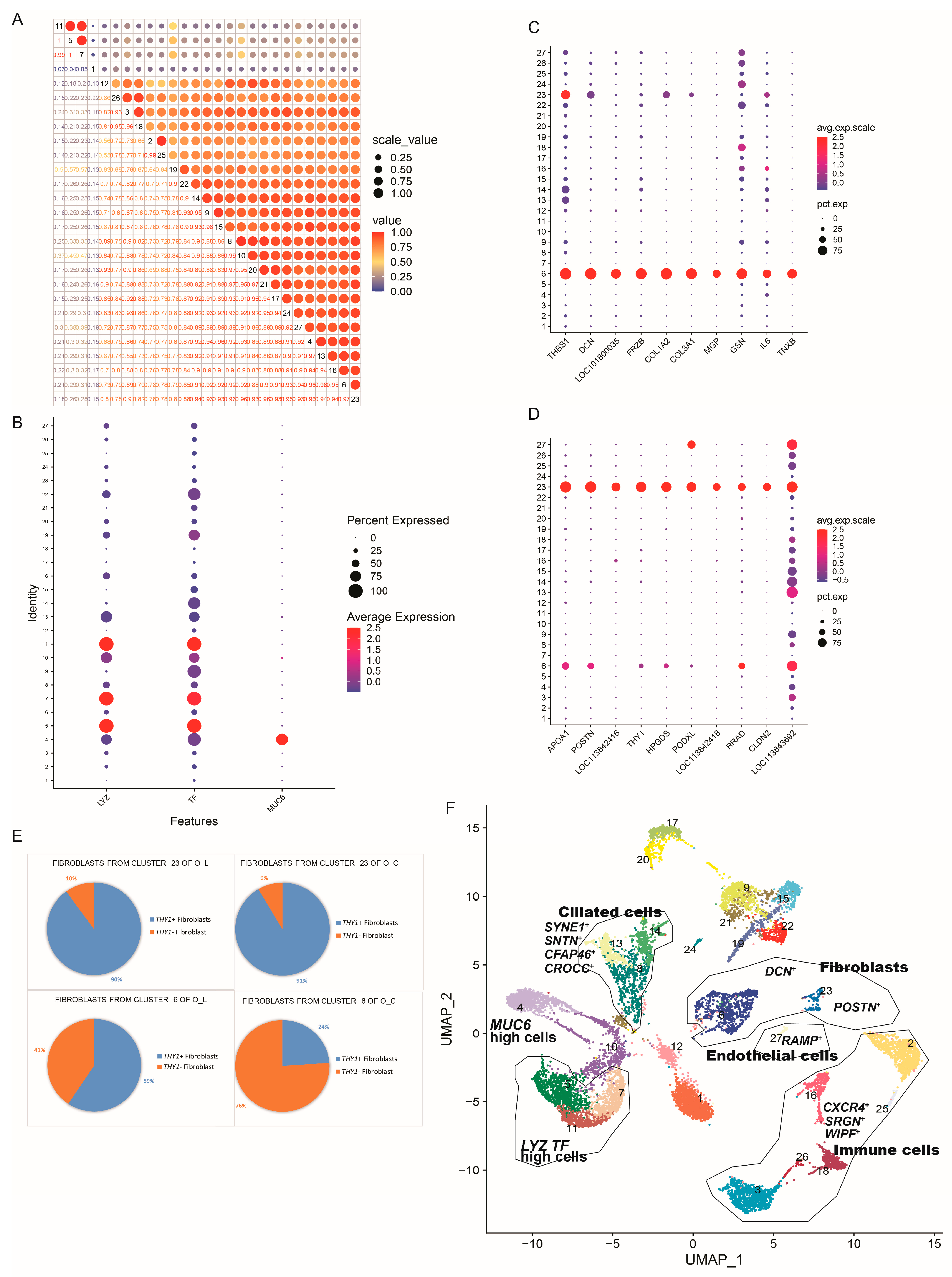 Animals 14 01072 g002