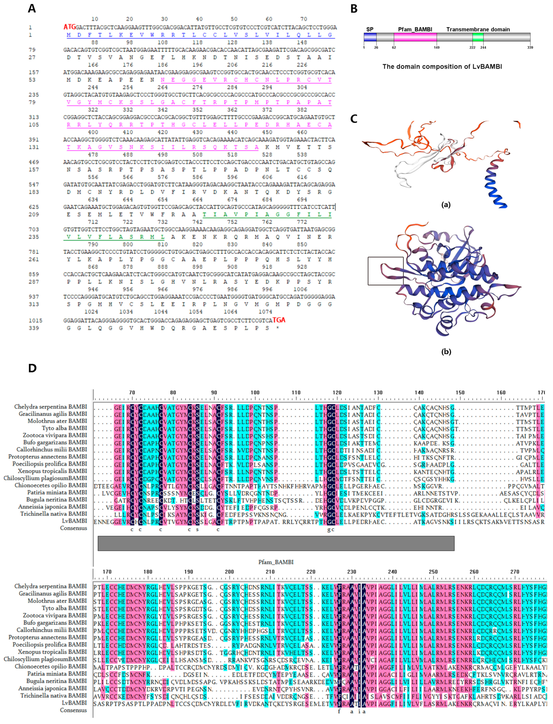 Animals 14 01074 g001