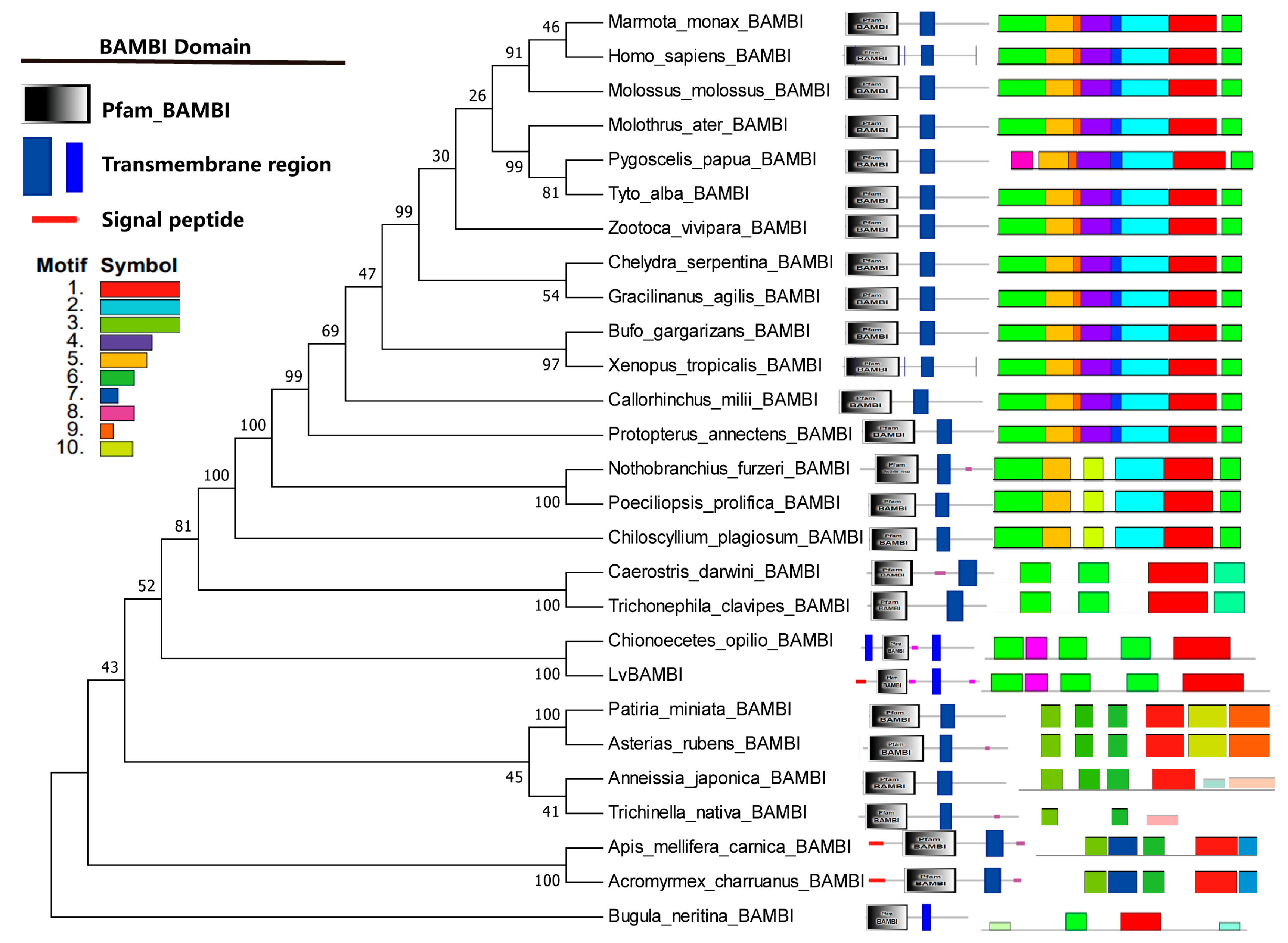 Animals 14 01074 g002