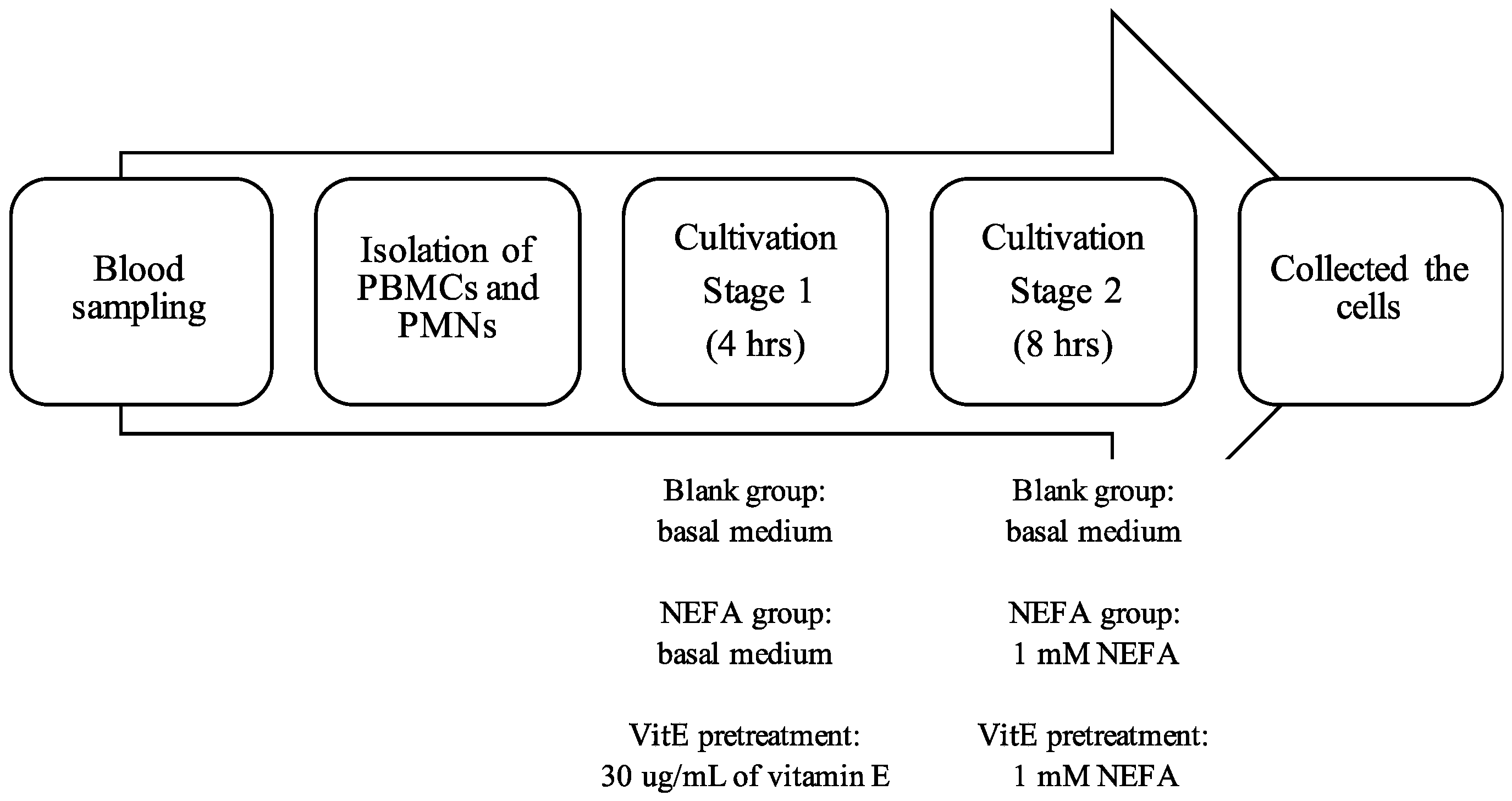 Animals 14 01079 g001