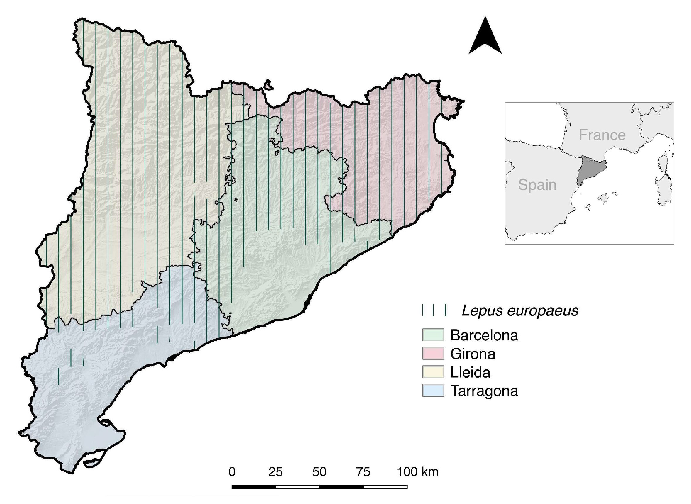 Animals 14 01080 g001