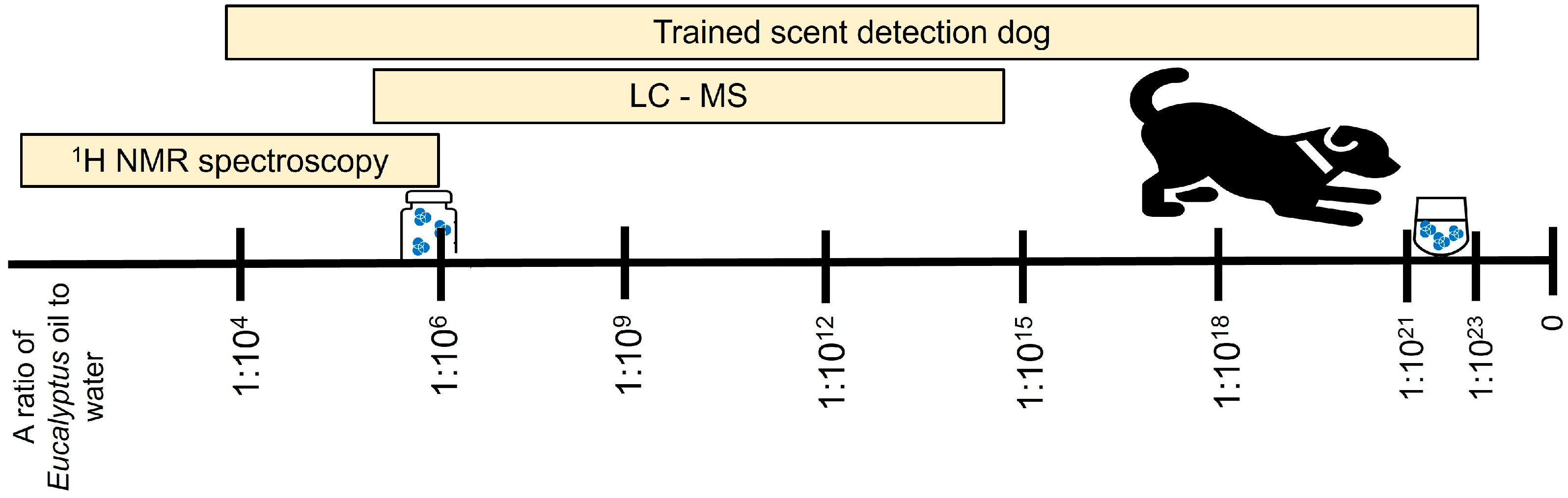 Animals 14 01083 g003 Animals 14 01083 g003