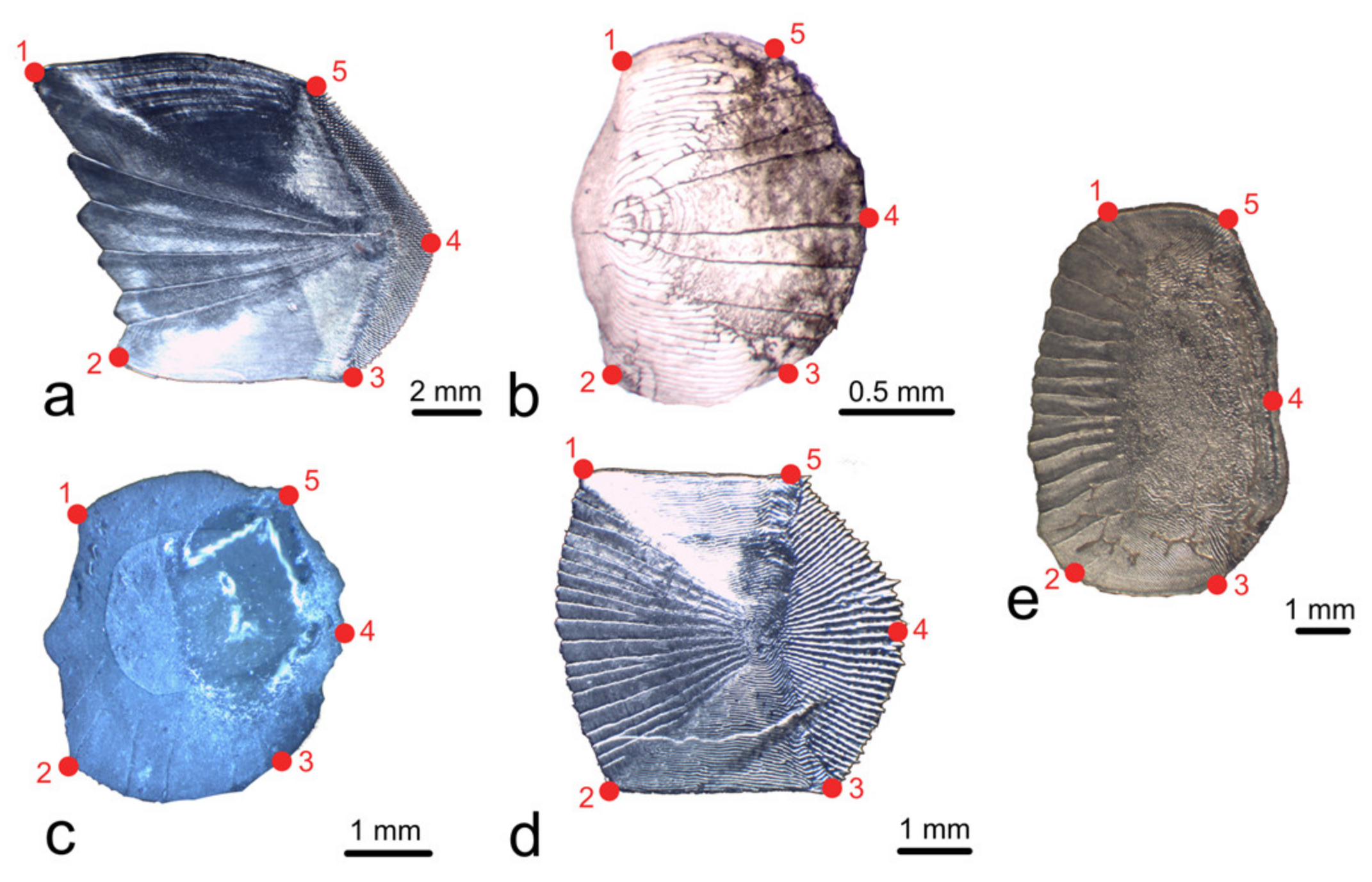 Animals 14 01090 g001