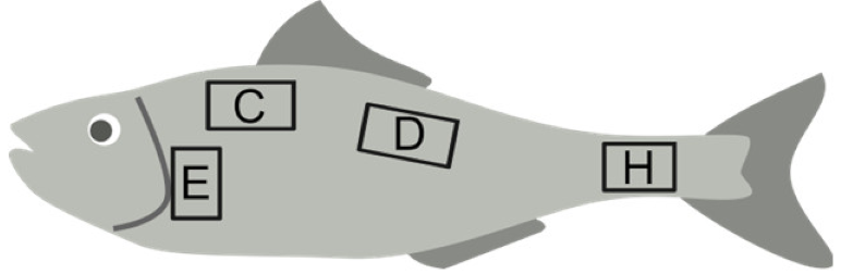 Animals 14 01090 i001