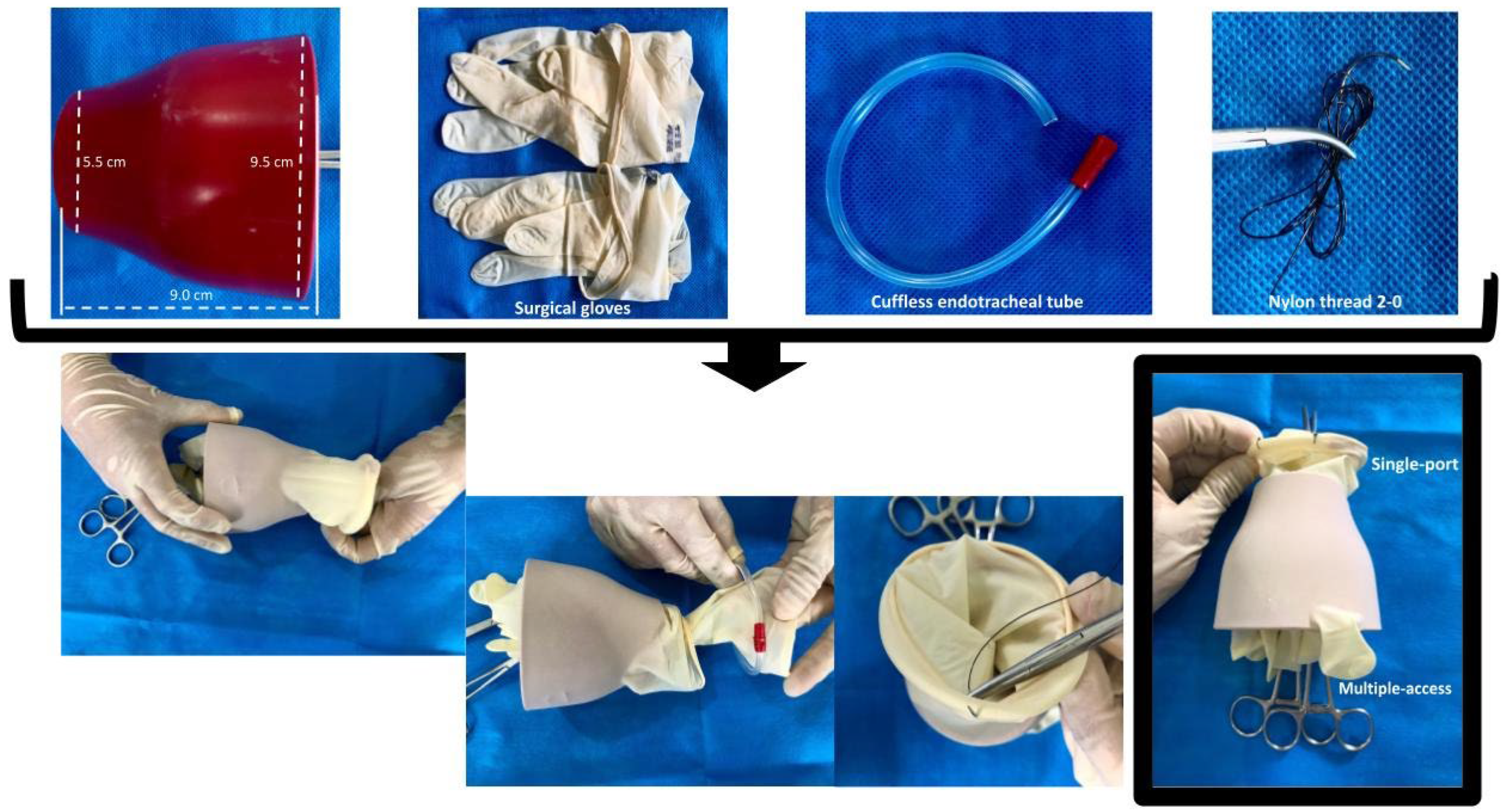 Animals 14 01091 g001