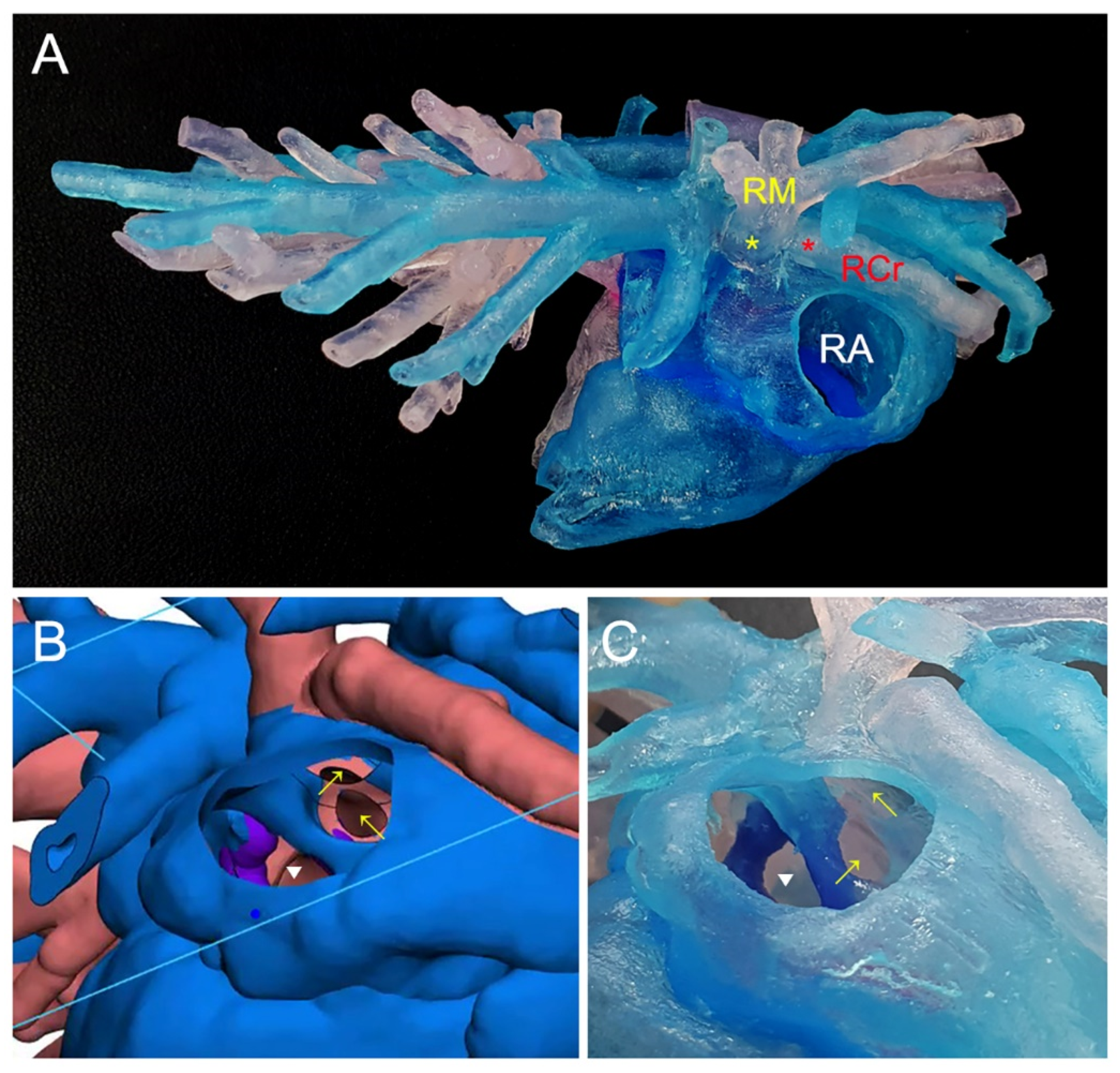Animals 14 01094 g002