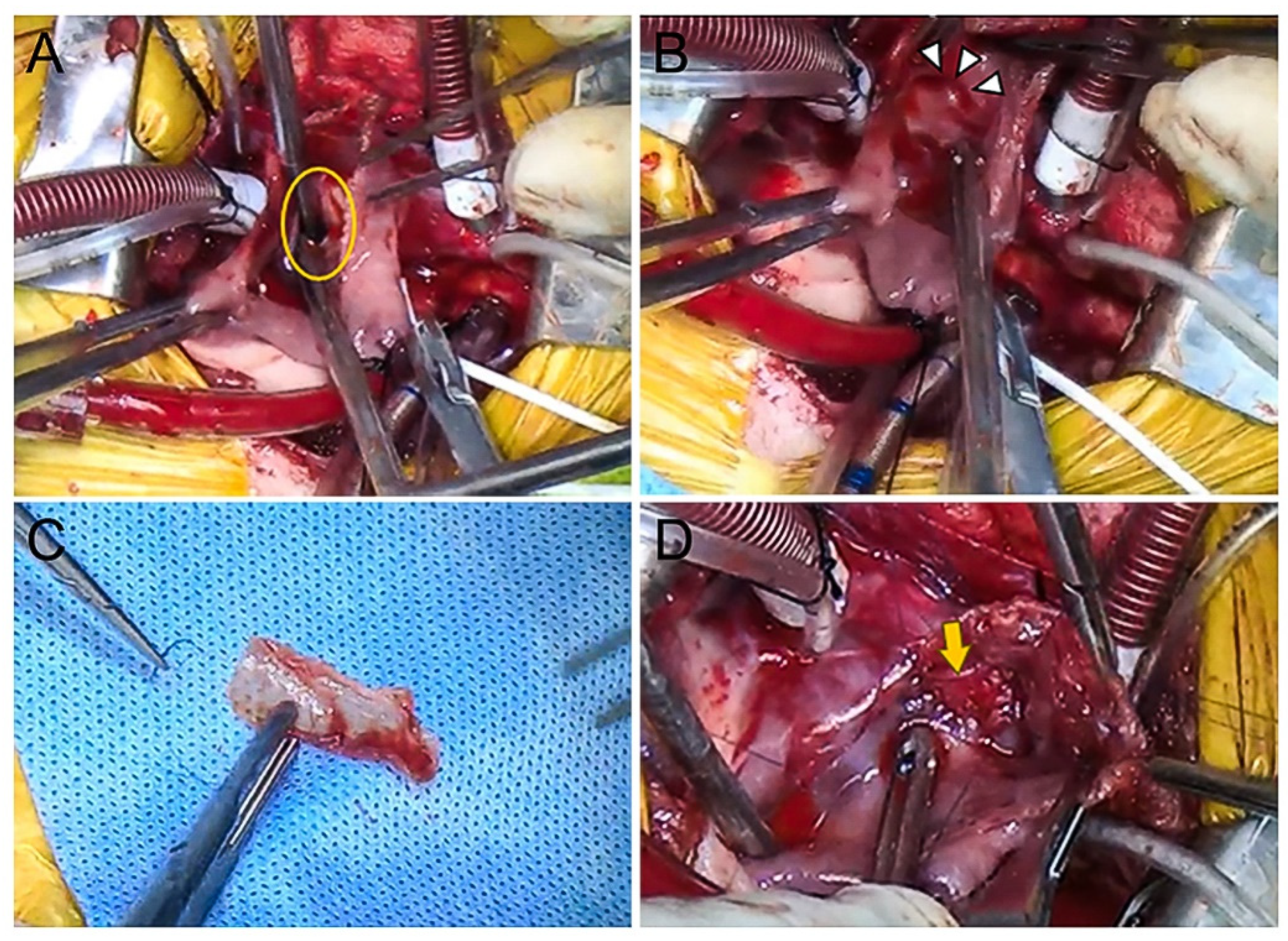 Animals 14 01094 g003