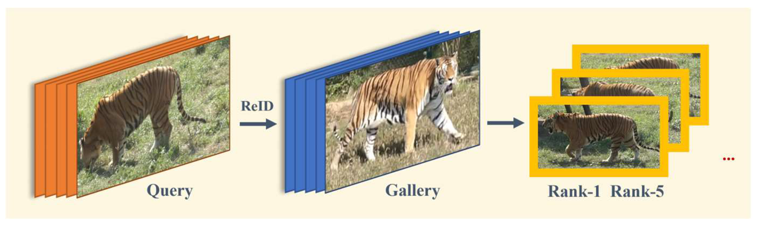 Animals 14 01106 g007