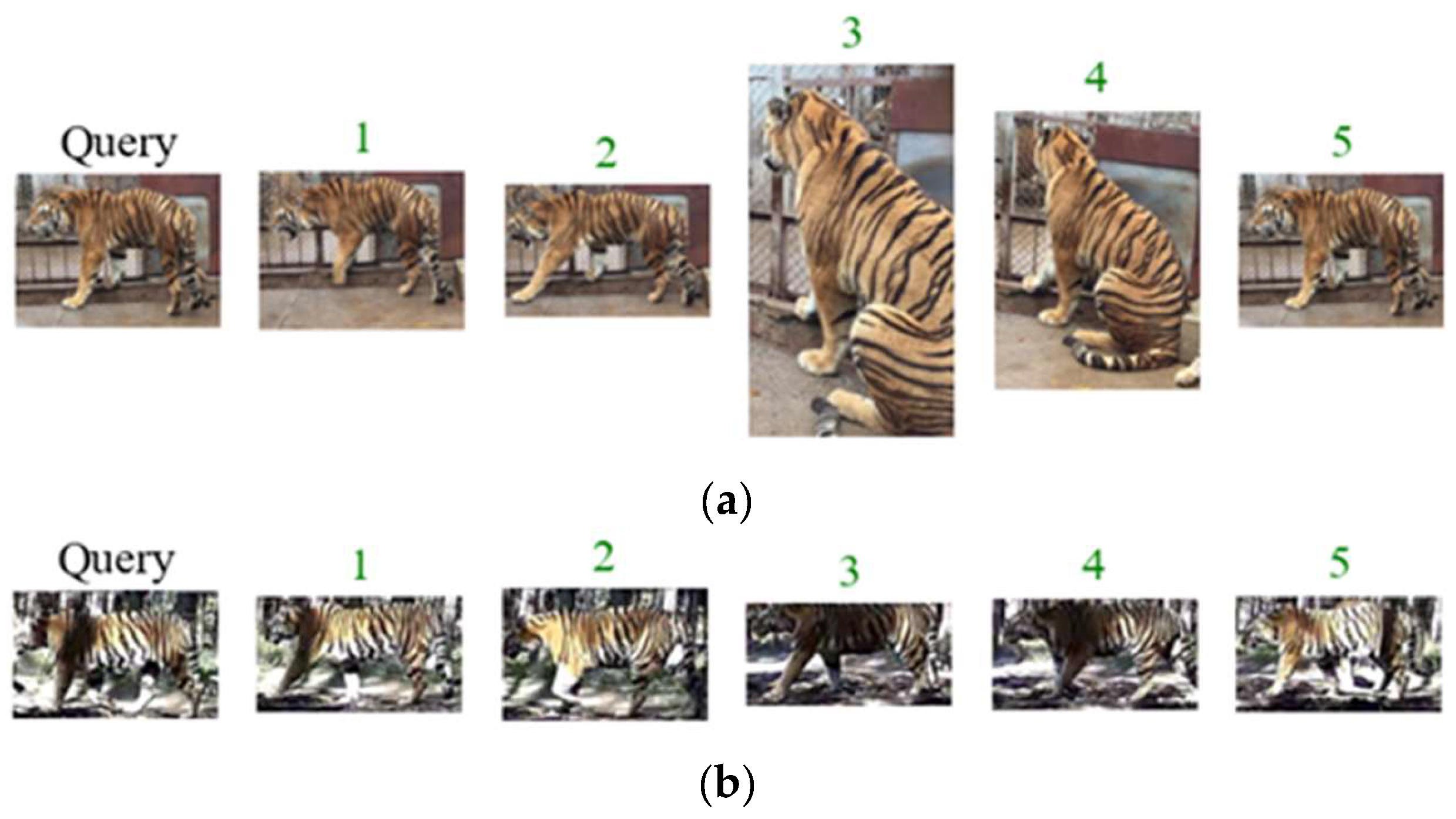 Animals 14 01106 g010