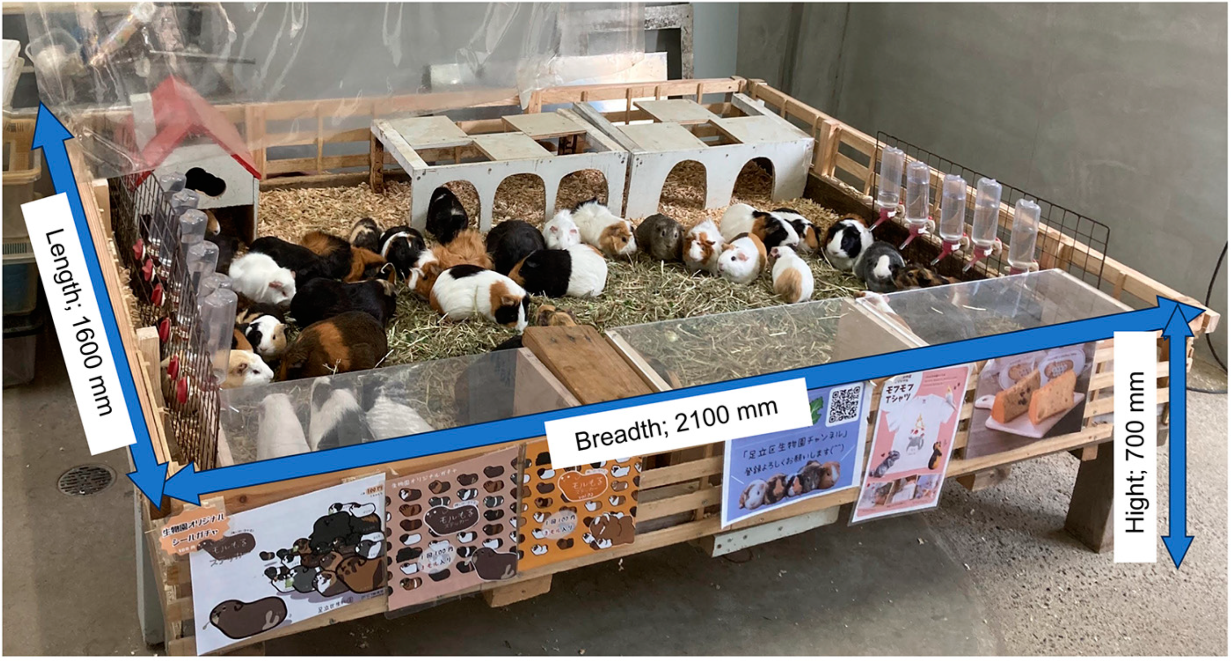 Animals 14 01111 g001