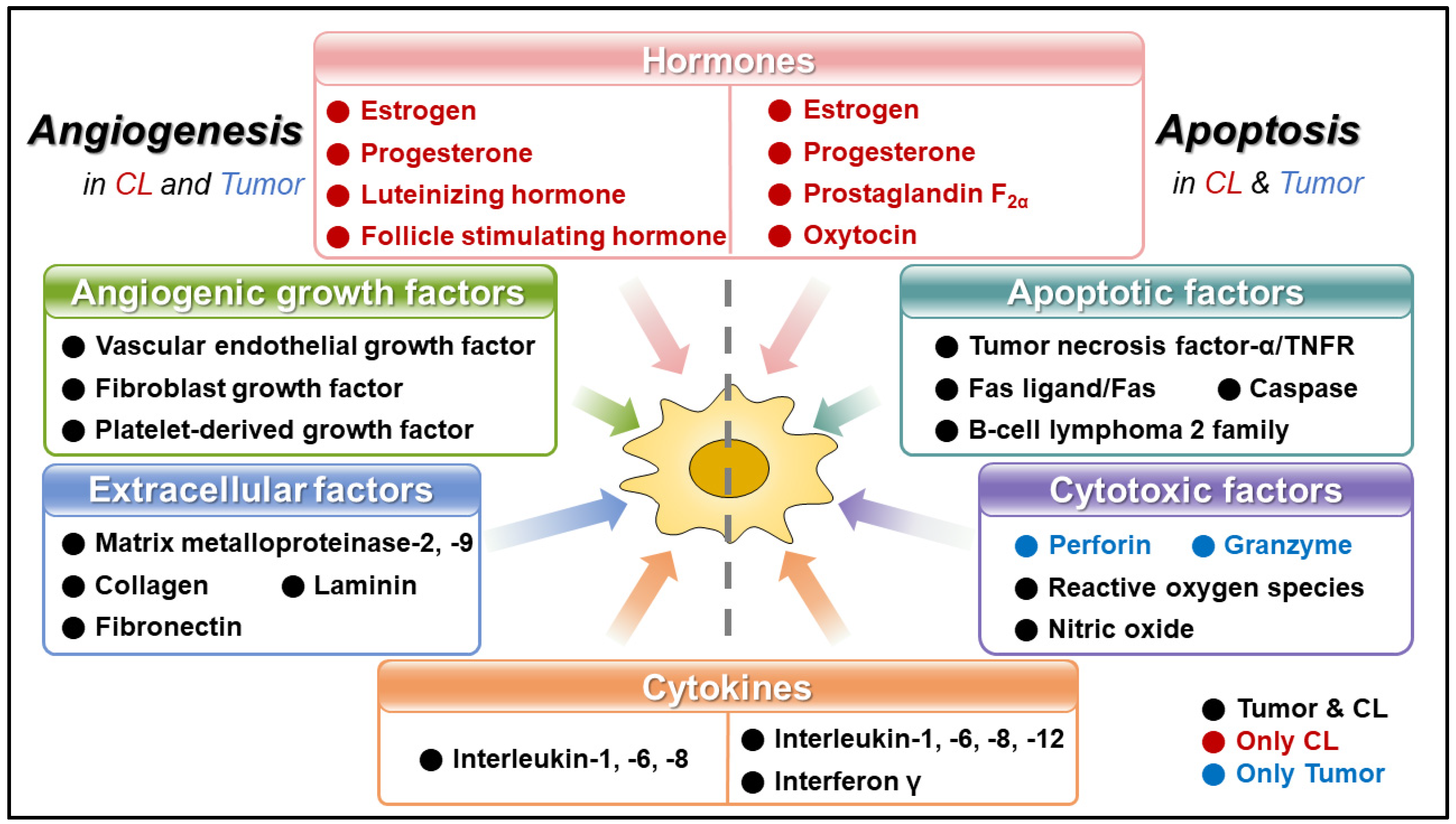 Animals 14 01118 g001 Animals 14 01118 g001