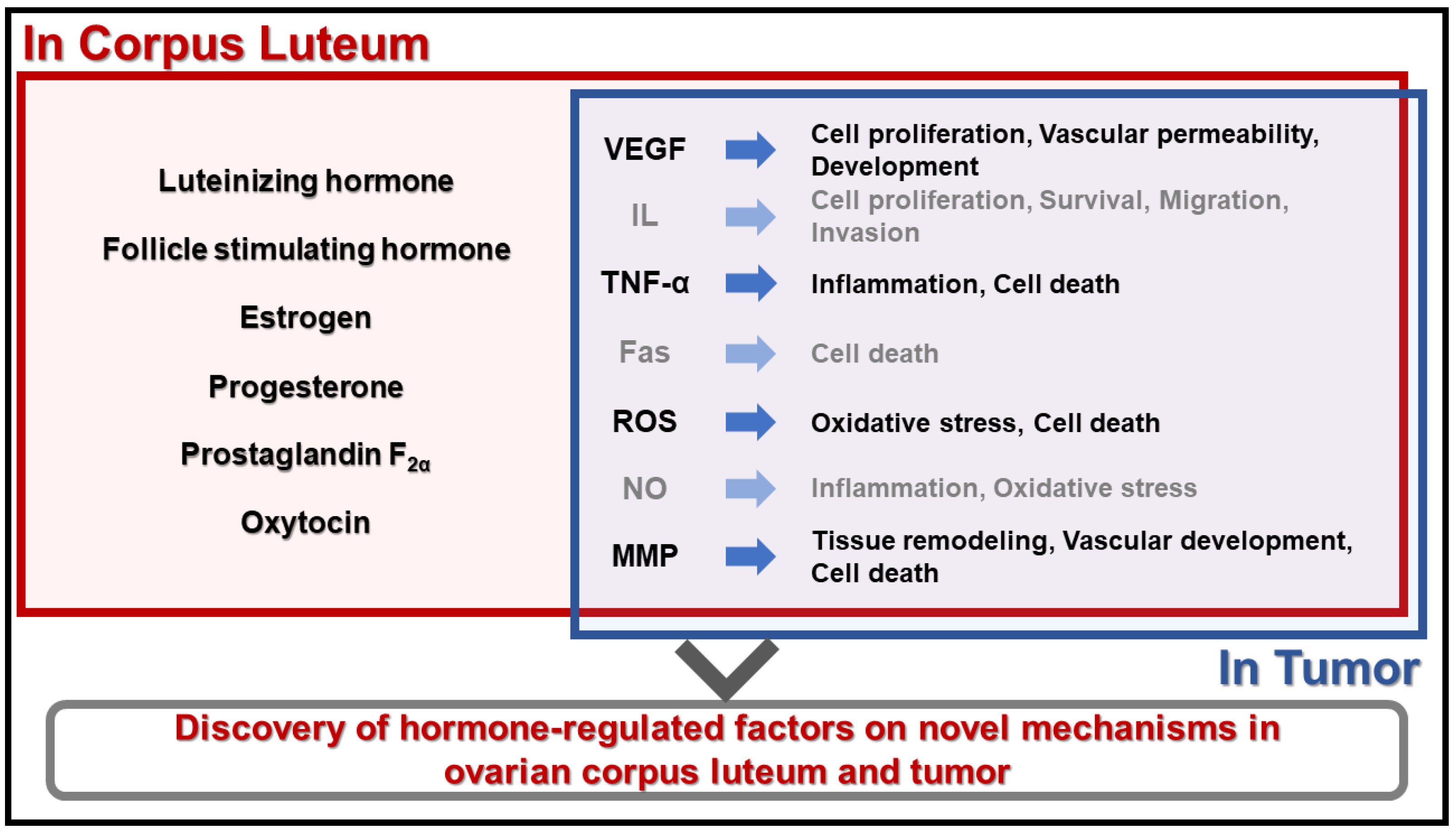 Animals 14 01118 g002 Animals 14 01118 g002