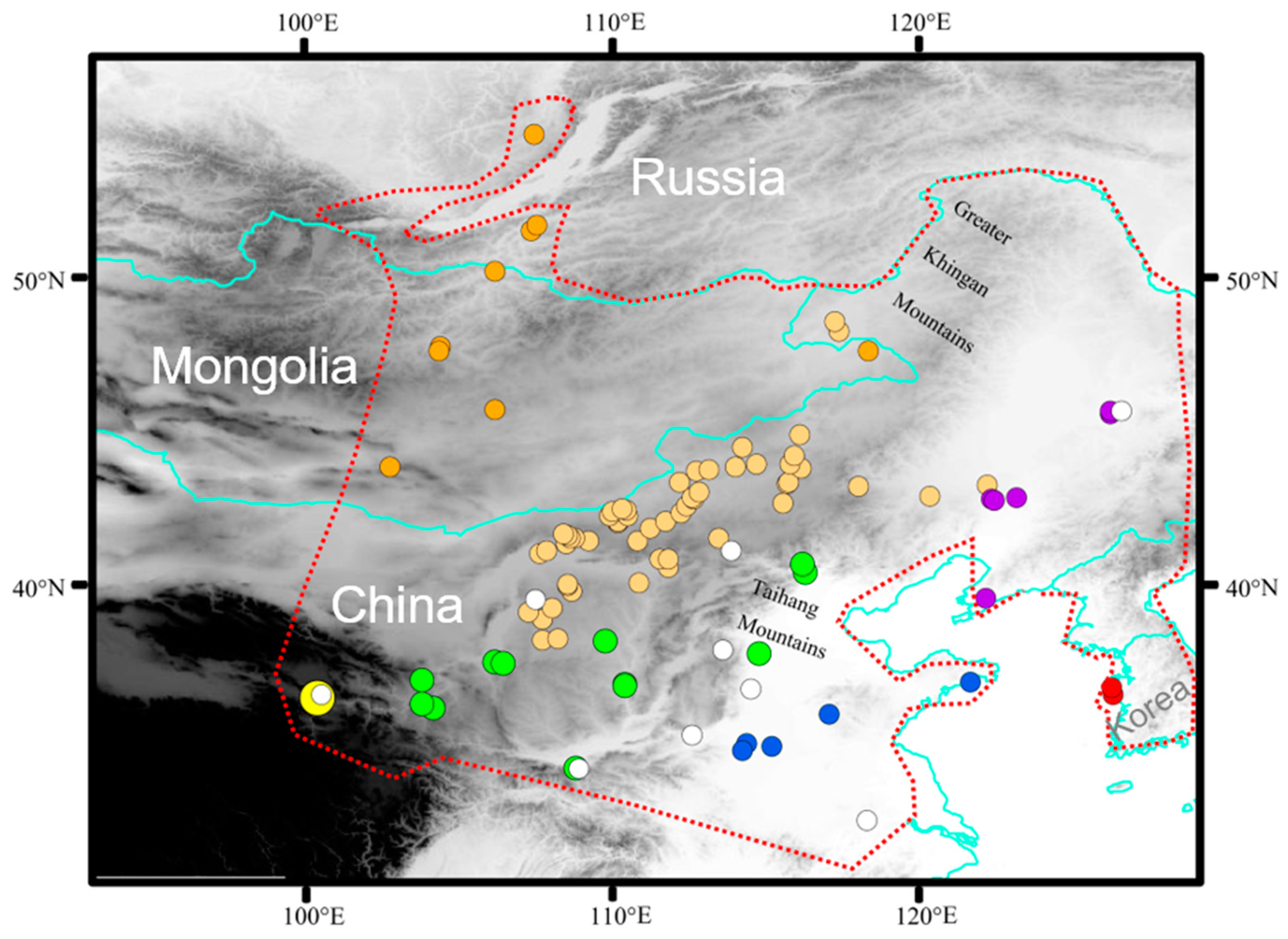 Animals 14 01124 g001