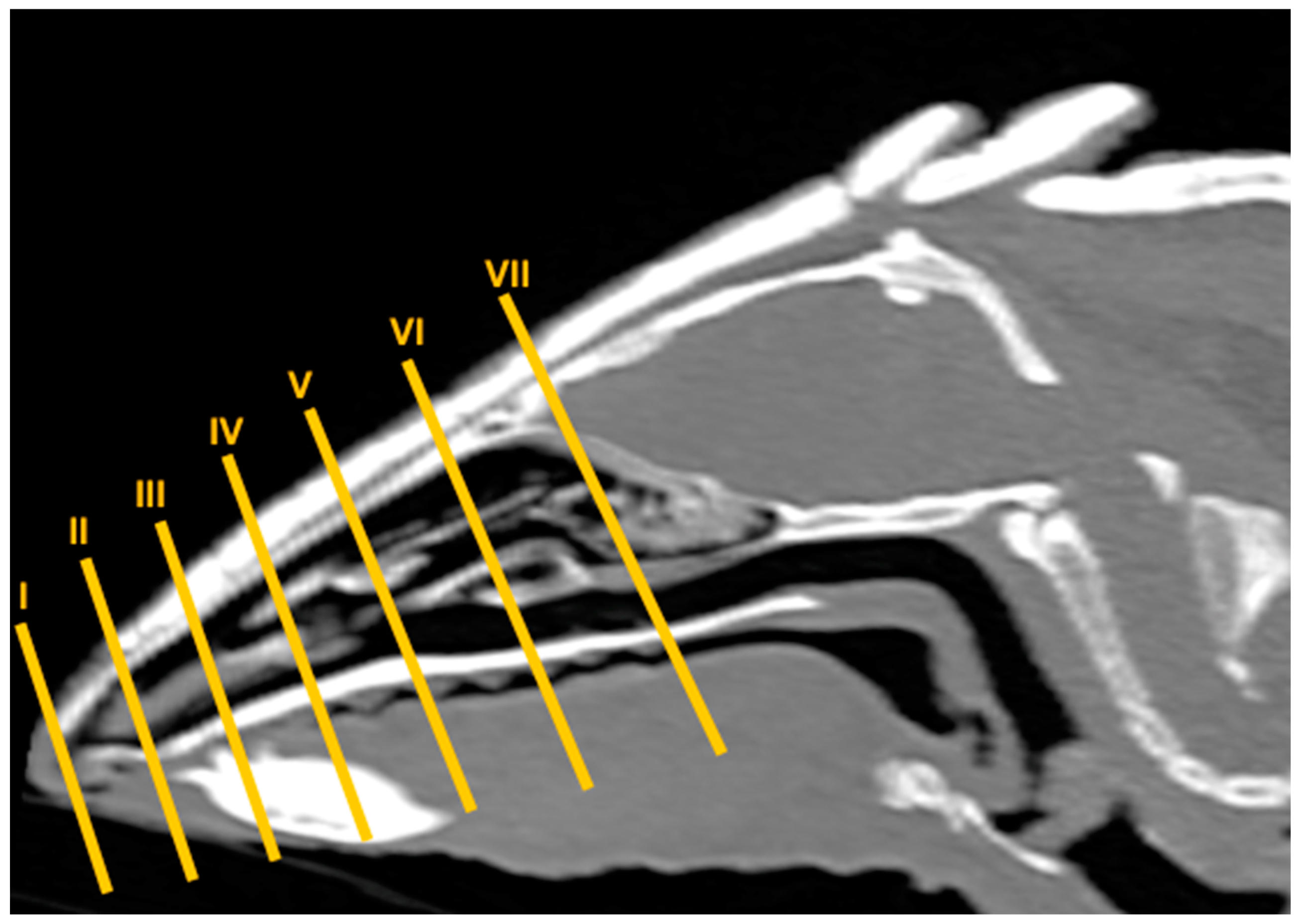 Animals 14 01135 g002