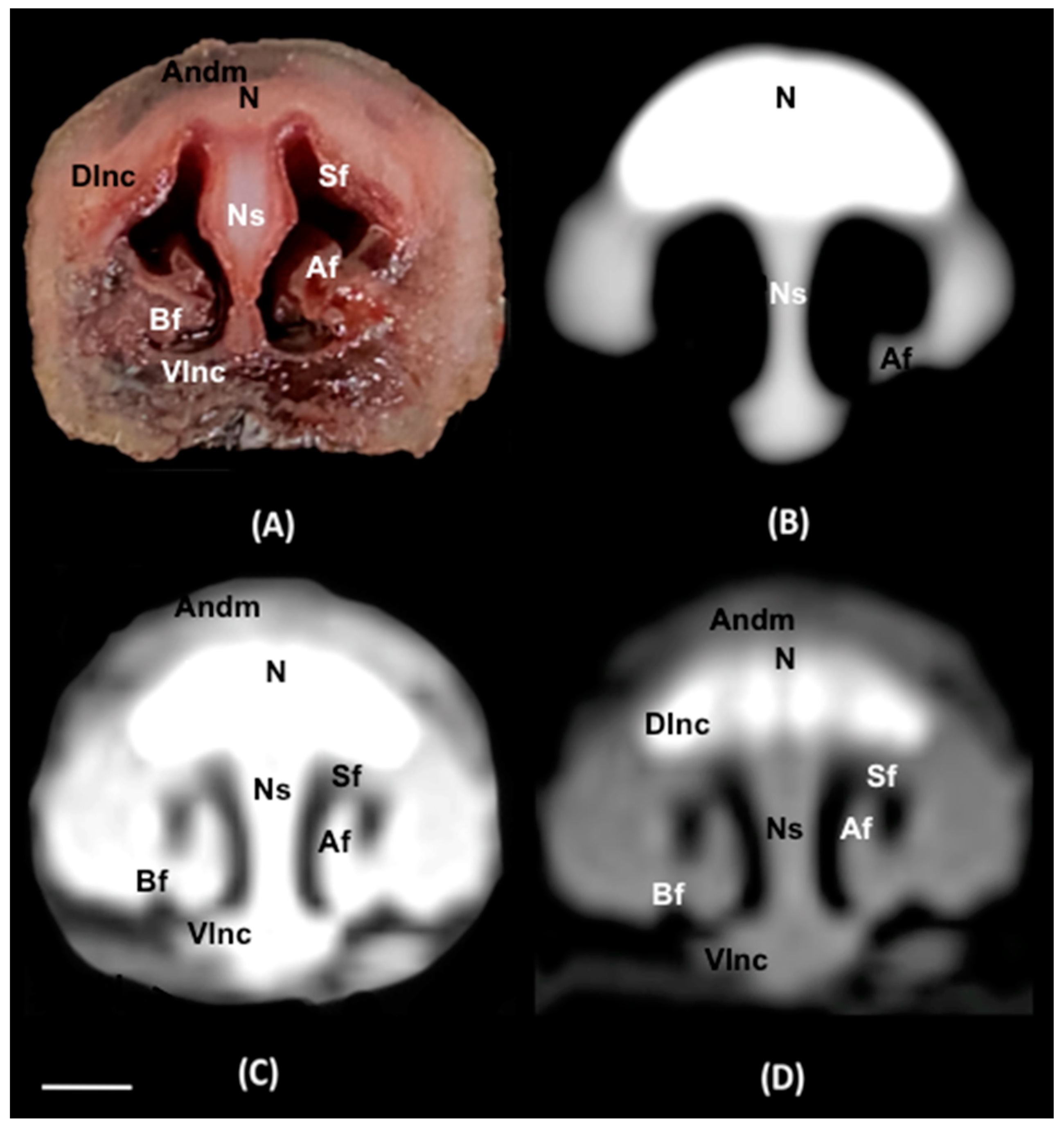 Animals 14 01135 g004