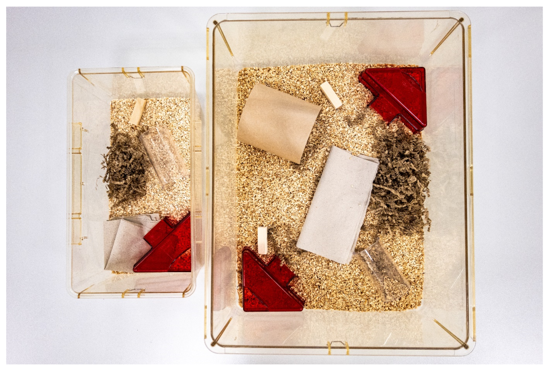 Animals 14 01136 g004