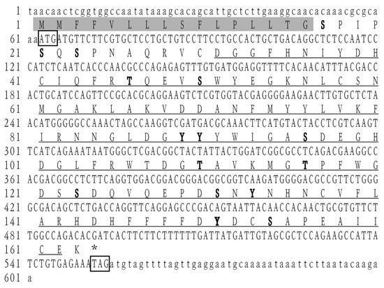 Molecular Characterization and Expression Analysis of the C-Type