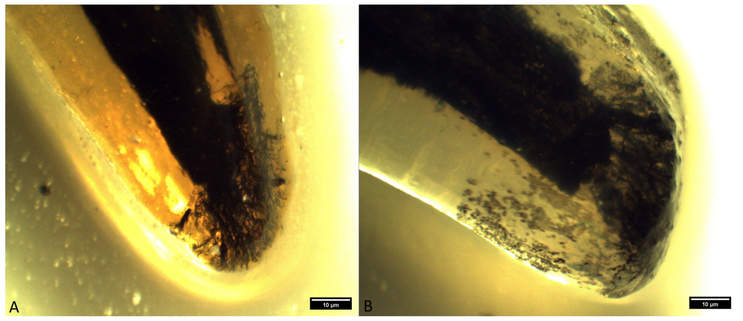 Animals 14 01138 g008