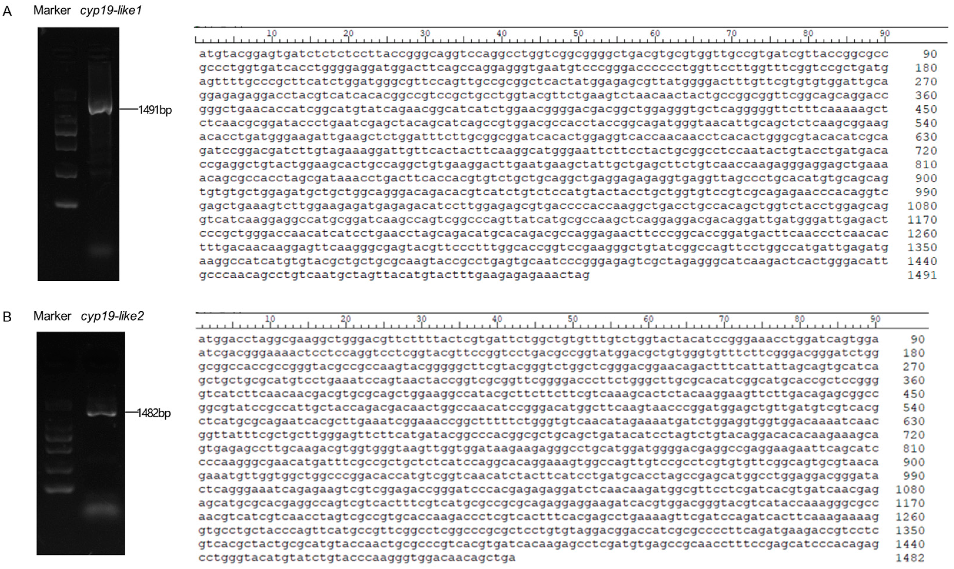 Animals 14 01140 g001 Animals 14 01140 g001