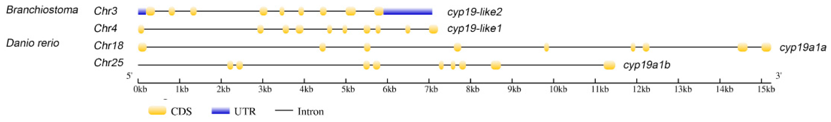 Animals 14 01140 g002 Animals 14 01140 g002