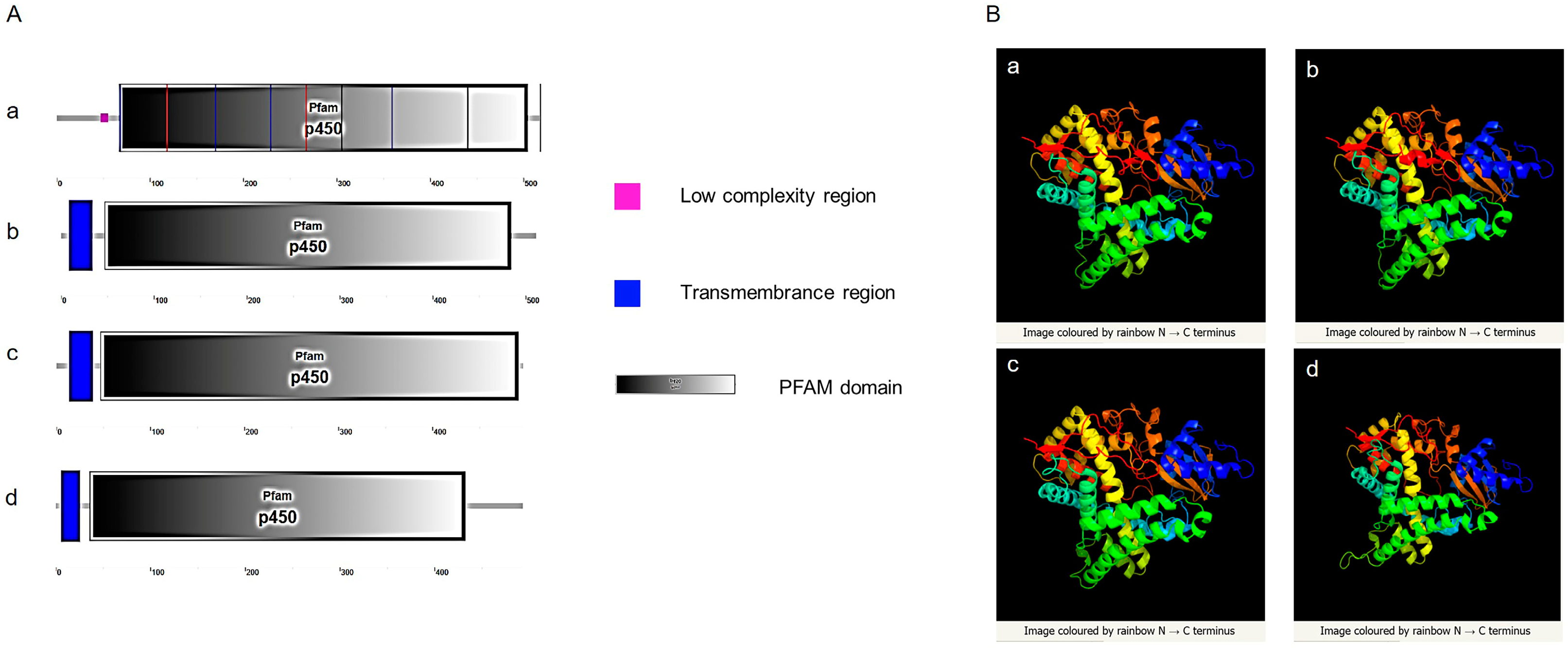 Animals 14 01140 g004 Animals 14 01140 g004