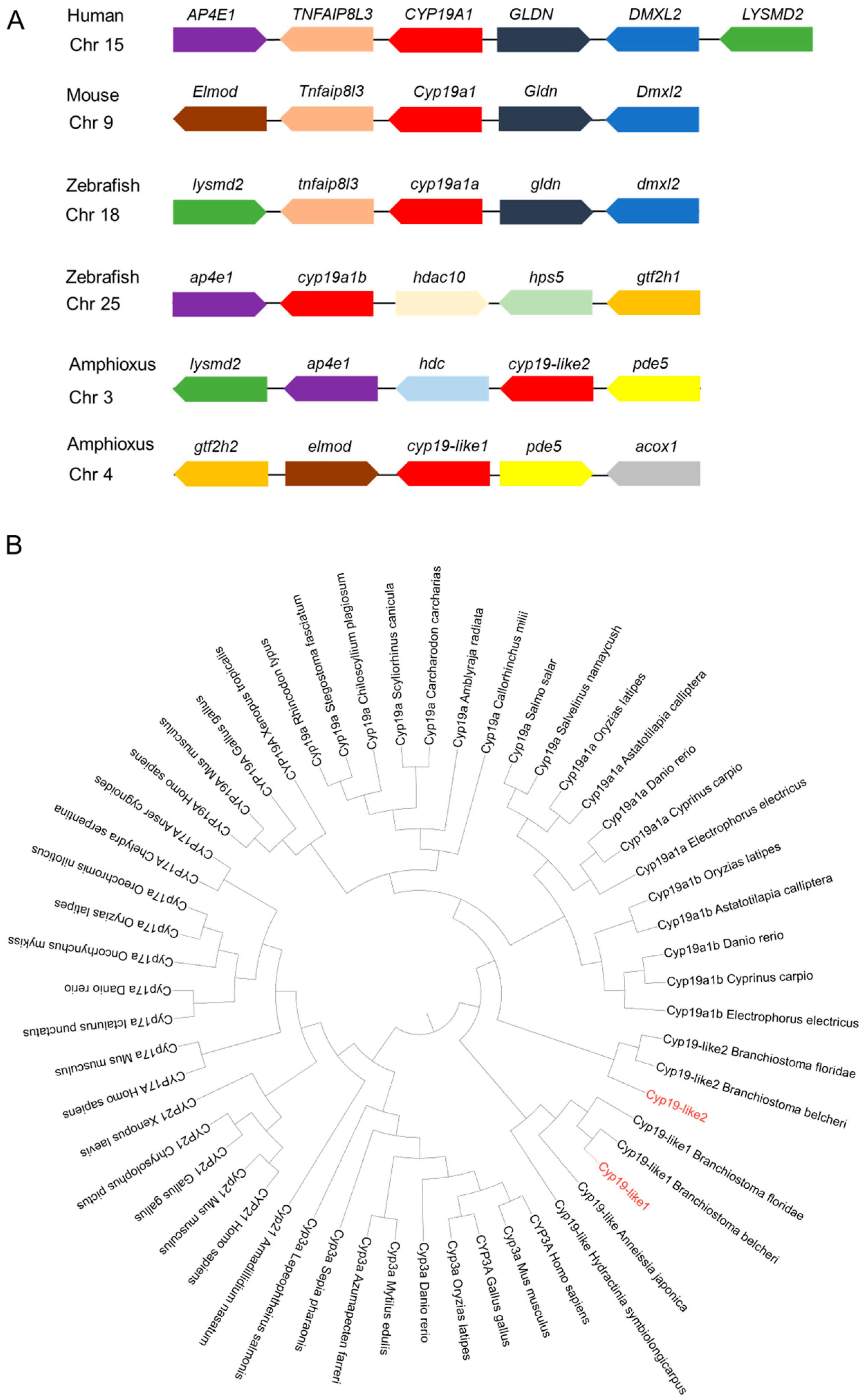 Animals 14 01140 g005 Animals 14 01140 g005