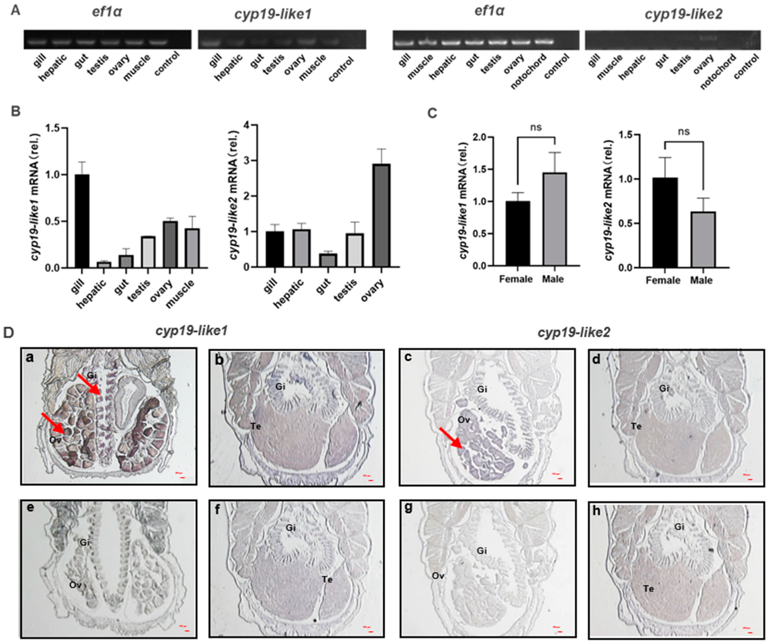 Animals 14 01140 g006 Animals 14 01140 g006