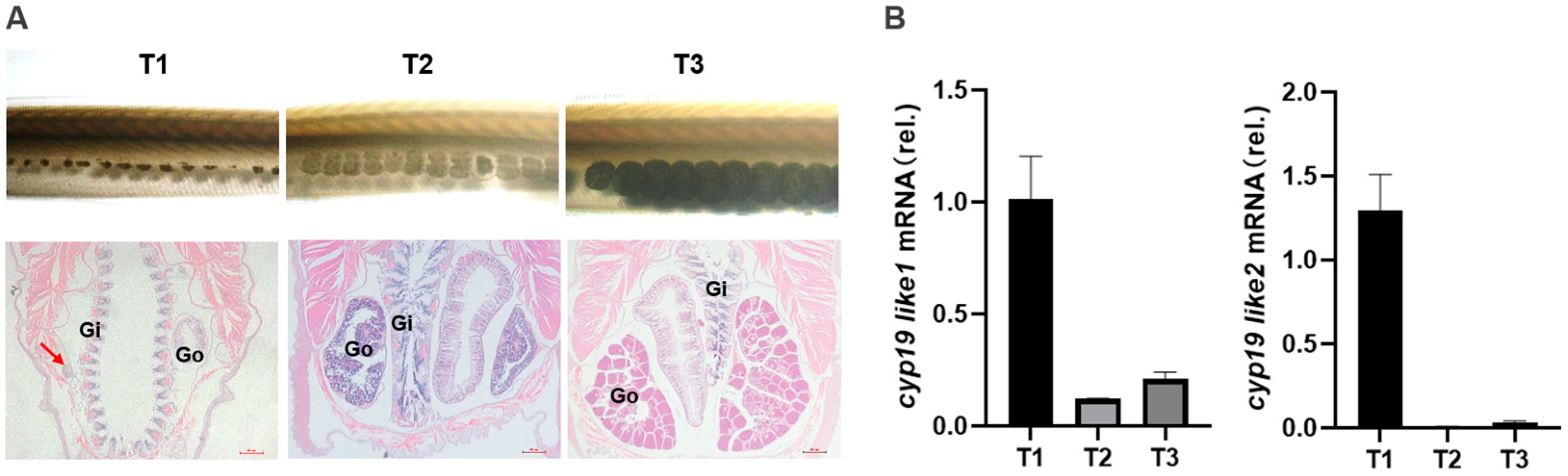 Animals 14 01140 g007 Animals 14 01140 g007