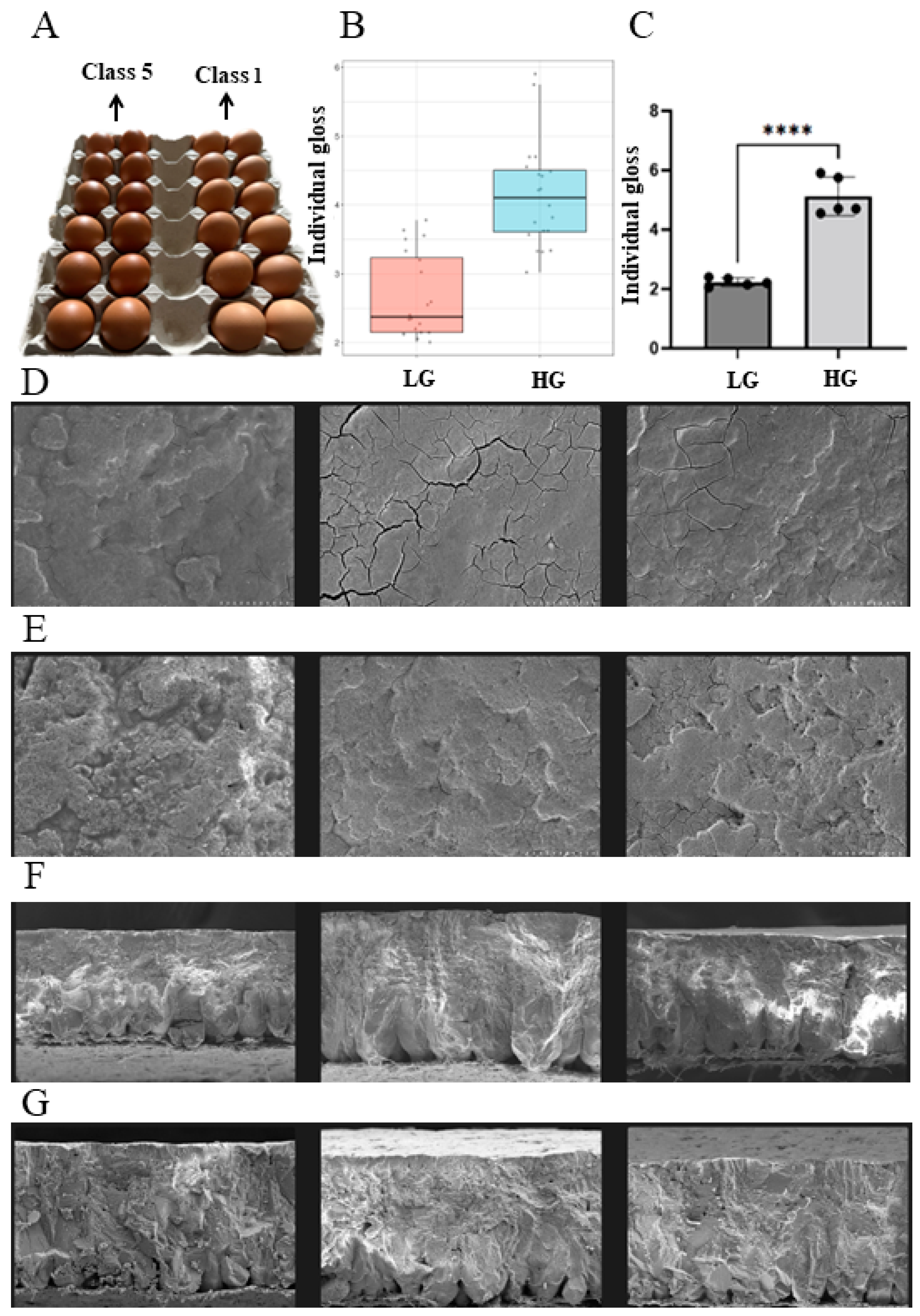 Animals 14 01141 g001
