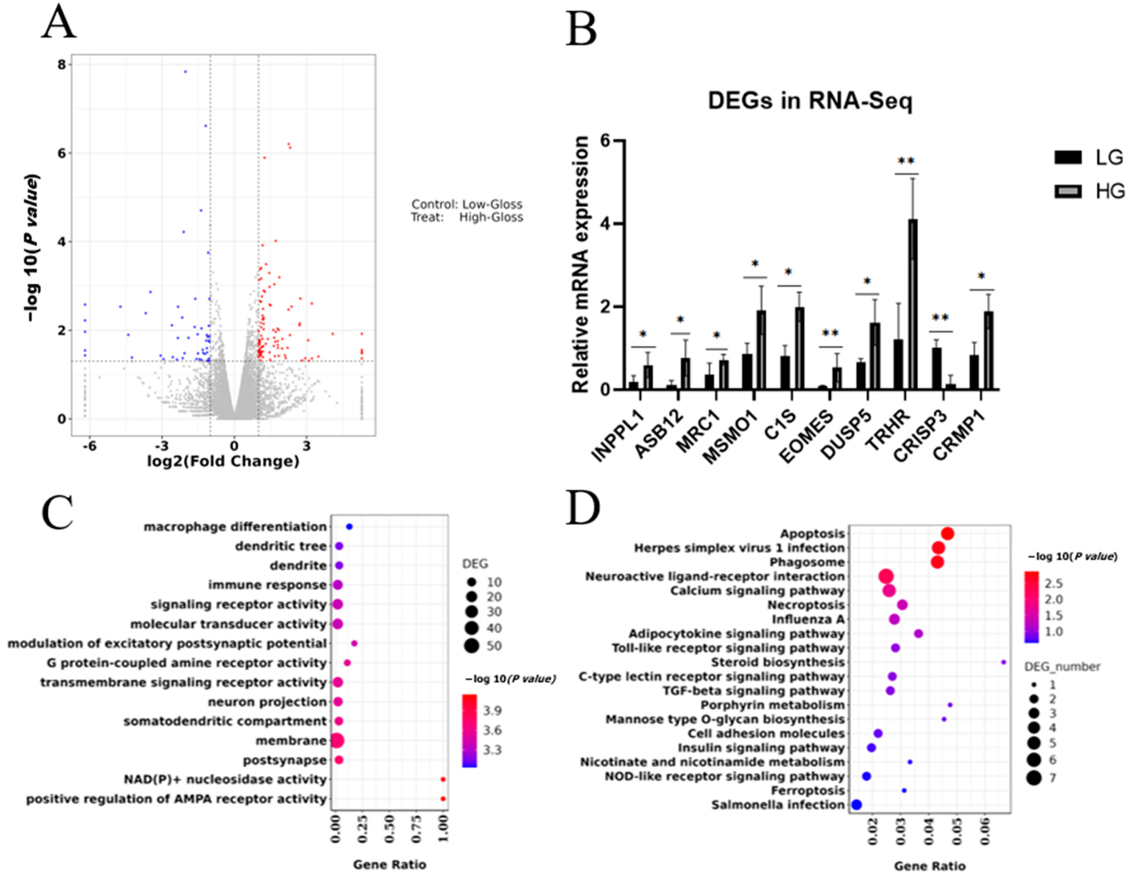 Animals 14 01141 g003