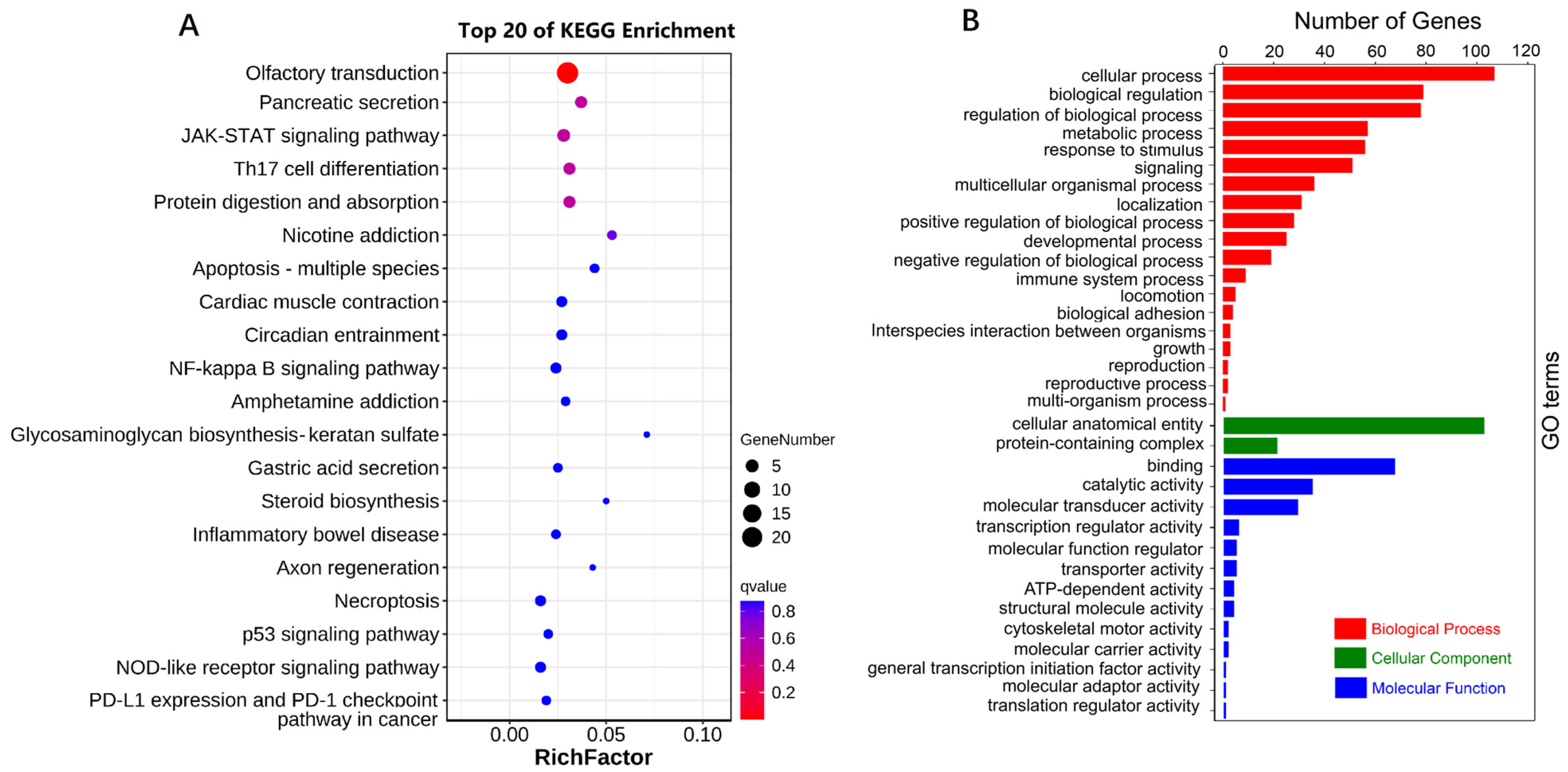 Animals 14 01145 g005