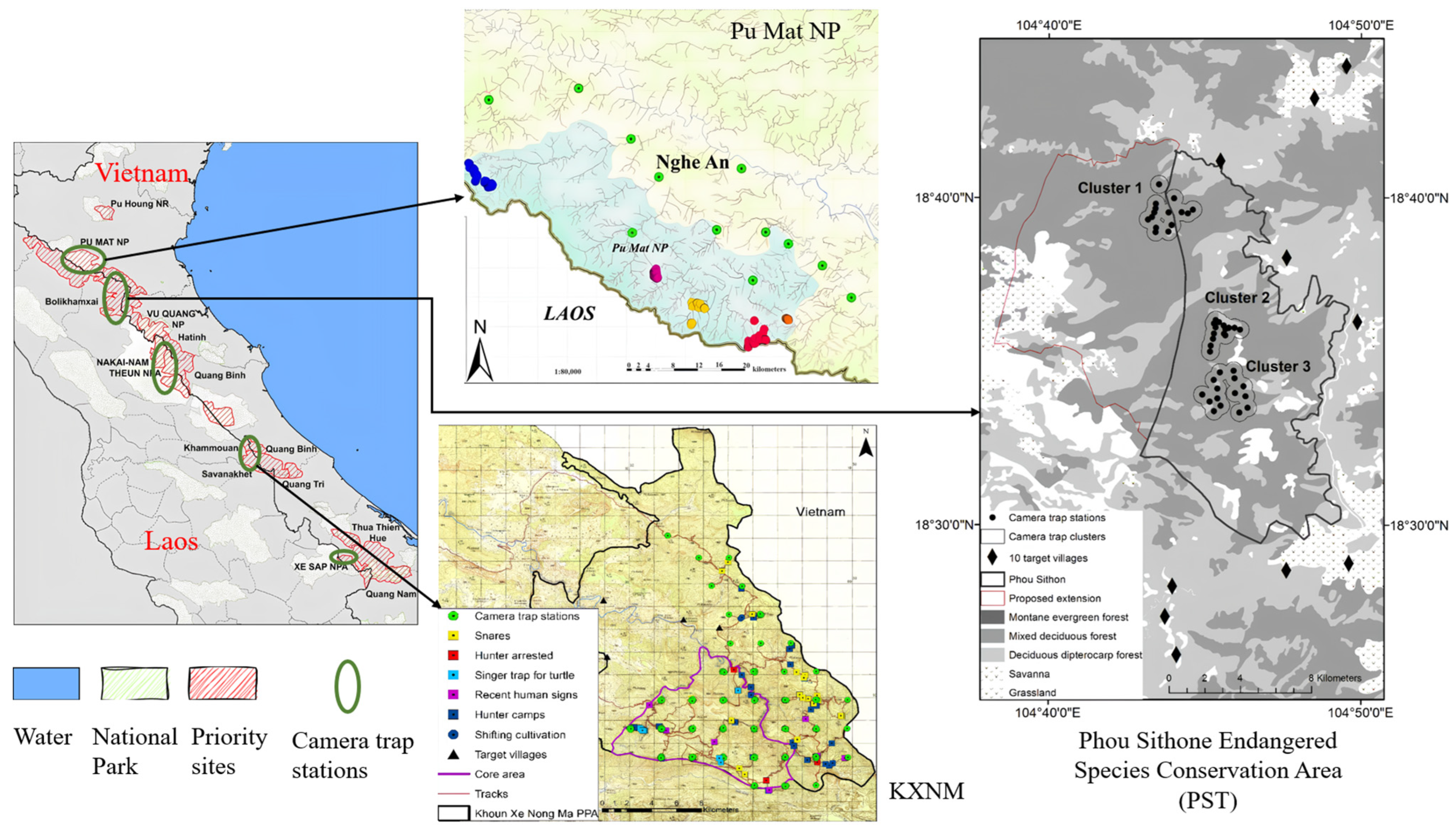 Animals 14 01152 g001