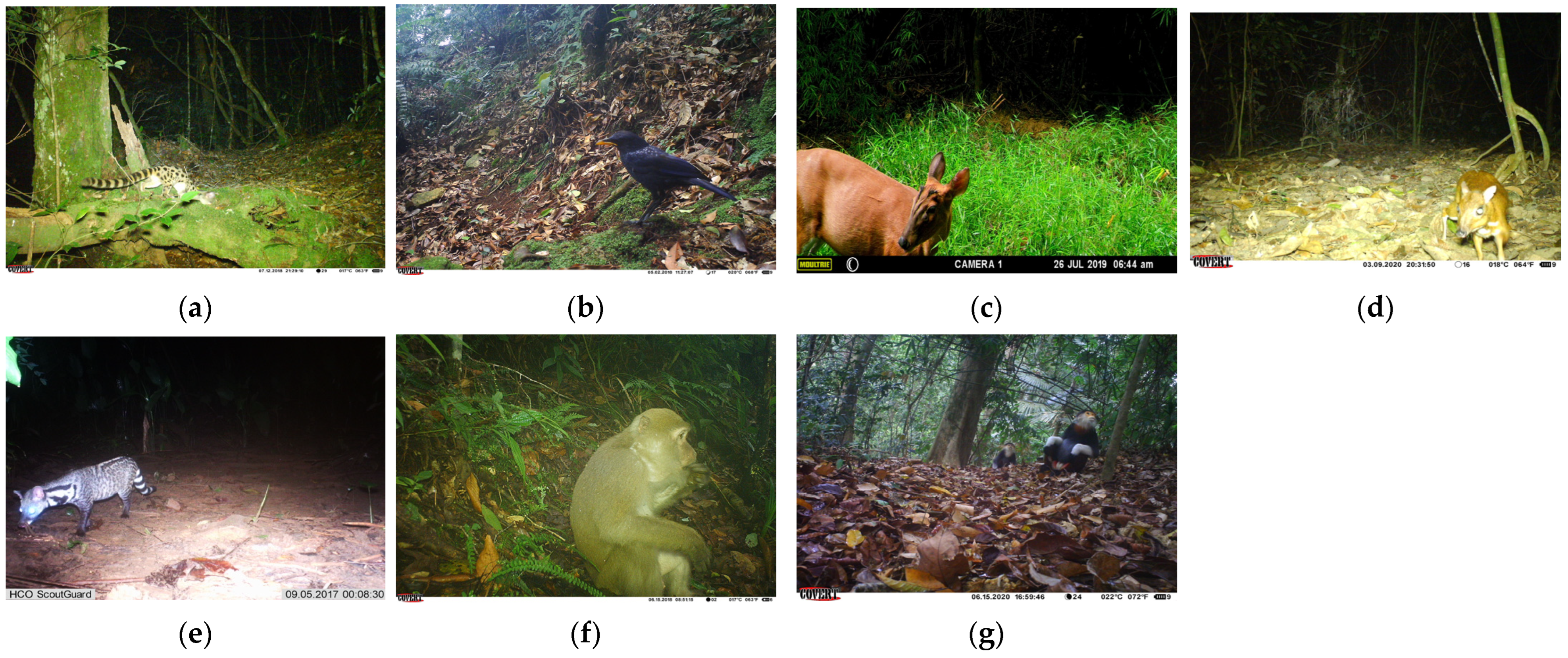 Animals 14 01152 g002