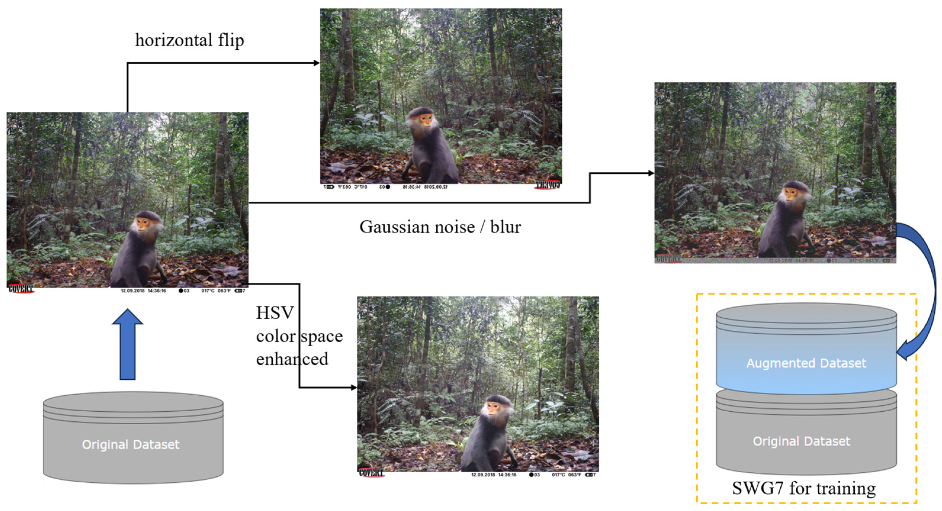 Animals 14 01152 g003