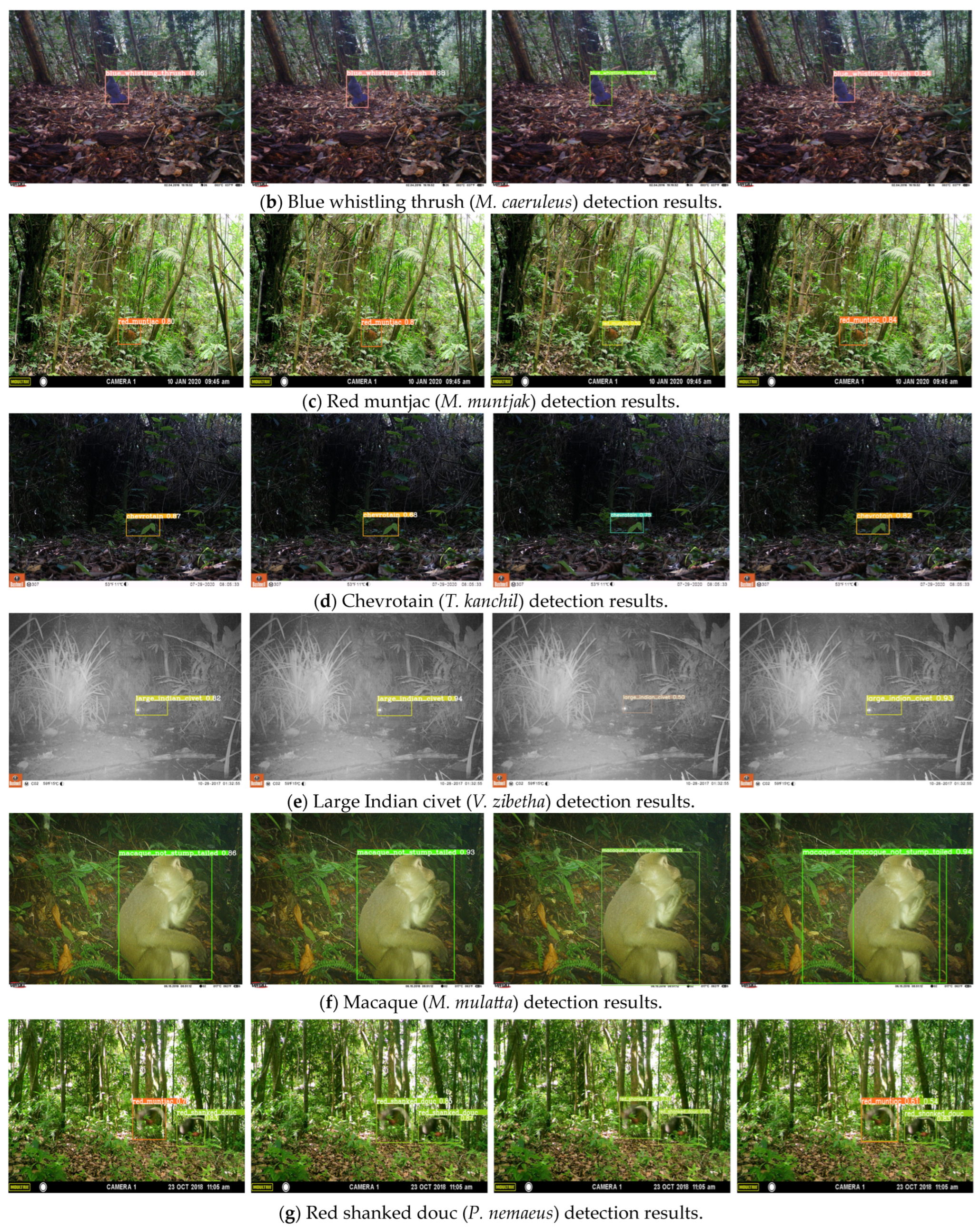 Animals 14 01152 g010b