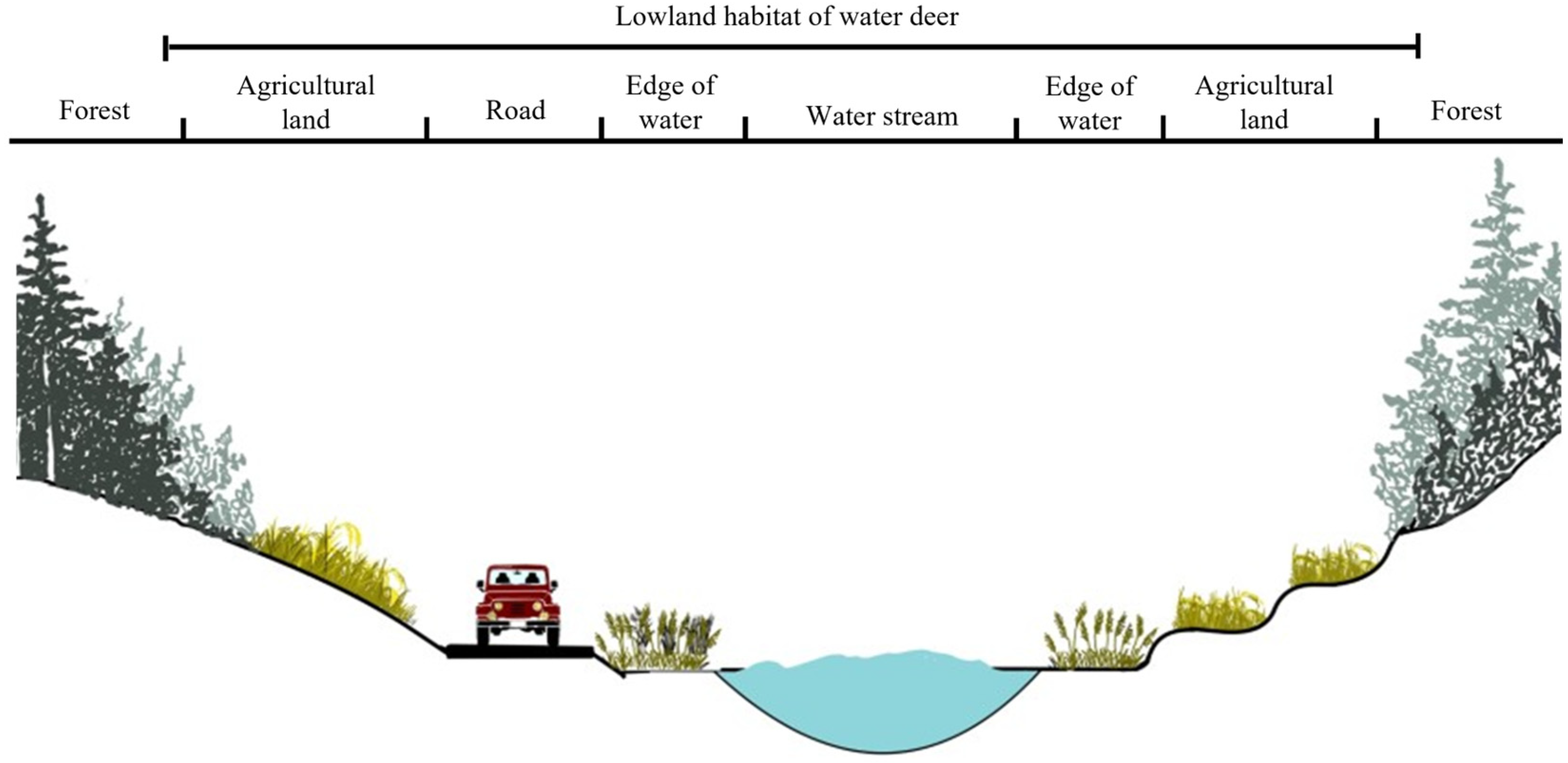 Animals 14 01153 g009