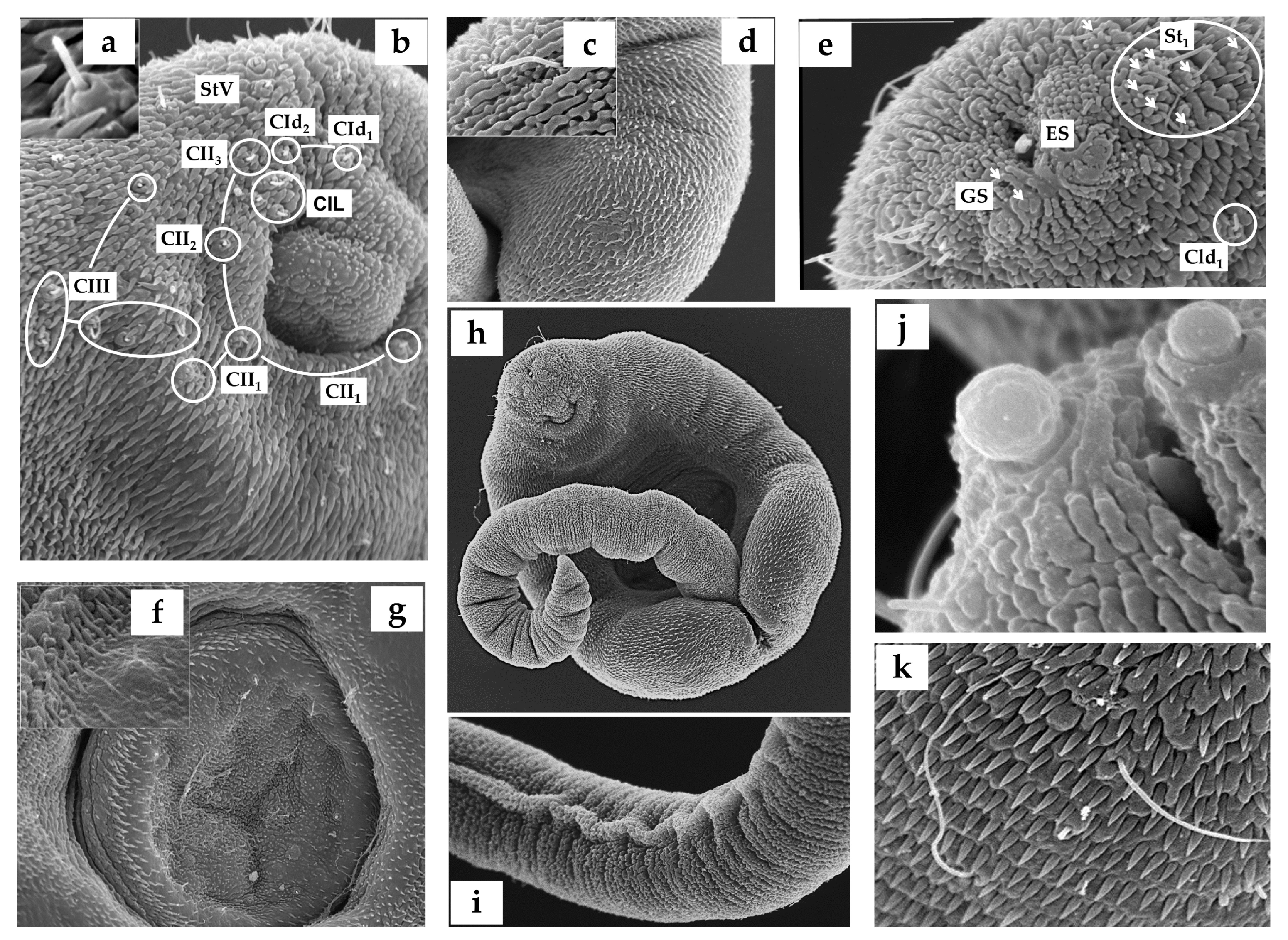 Animals 14 01154 g004