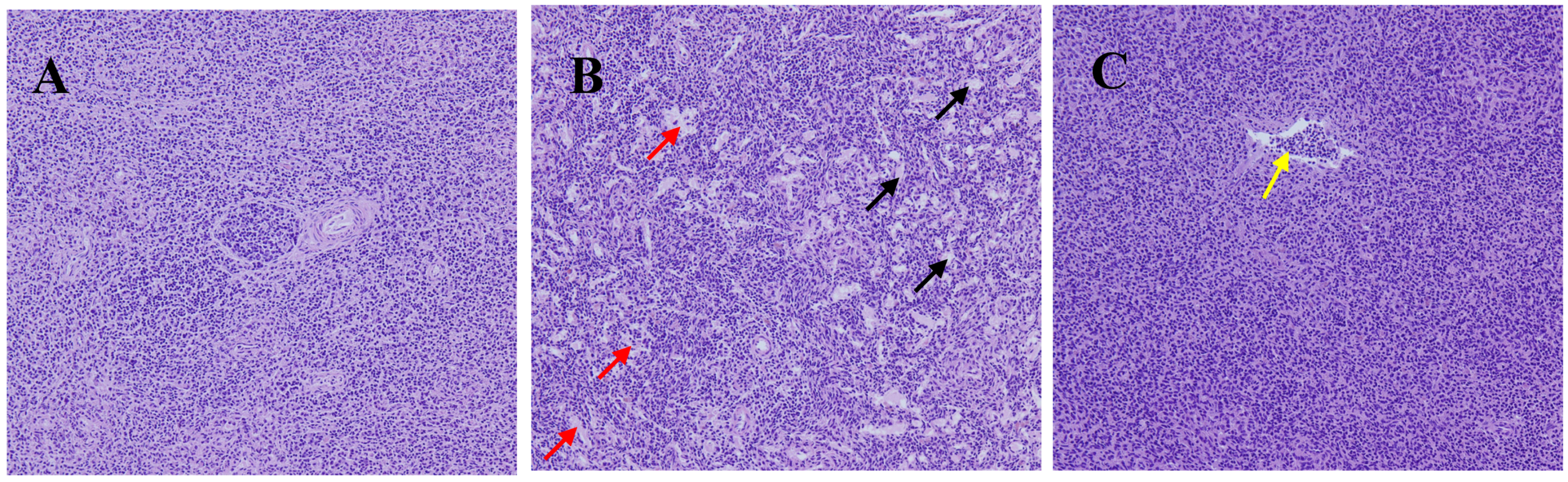 Animals 14 01157 g001 Animals 14 01157 g001