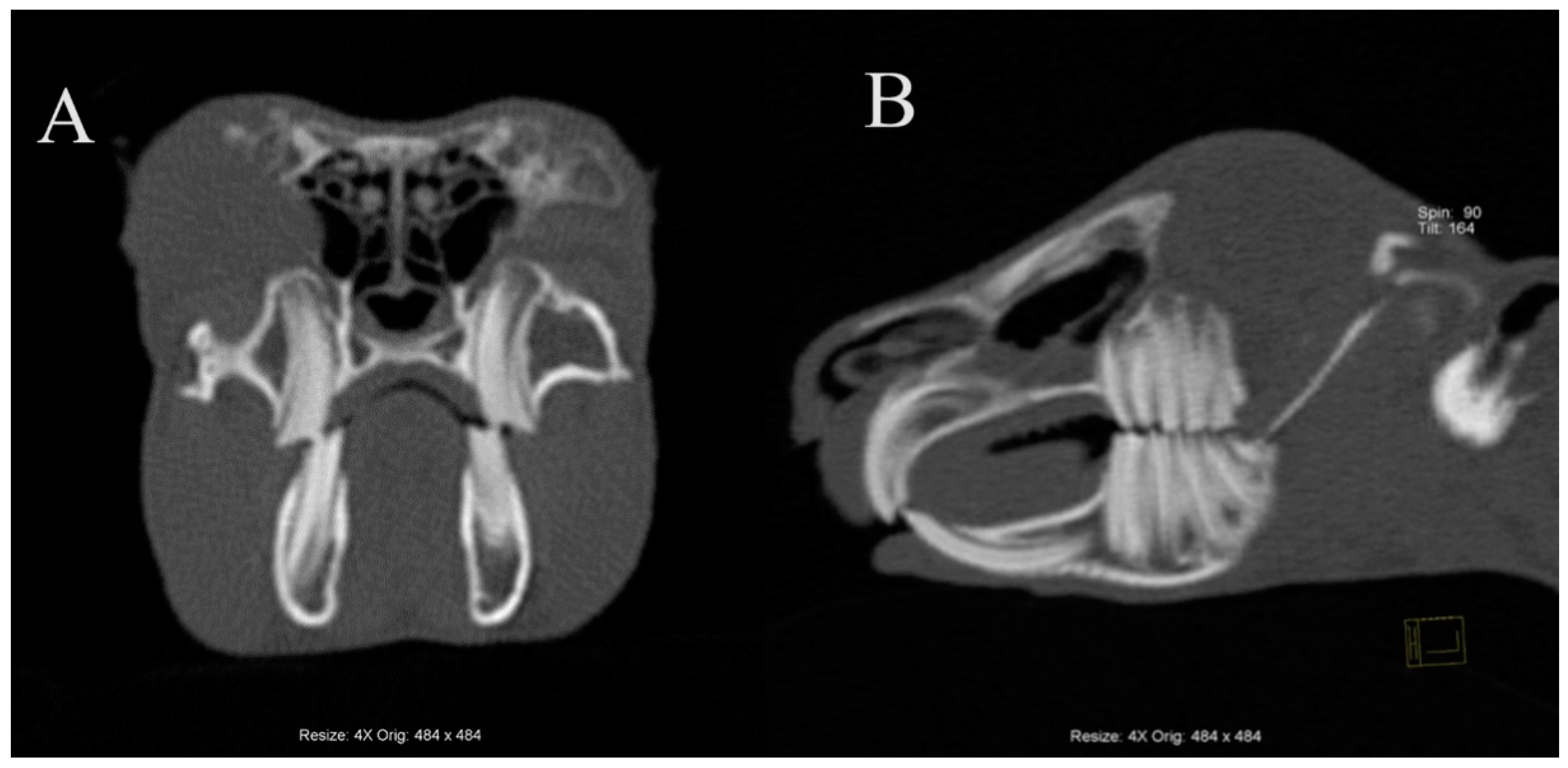 Animals 14 01160 g001