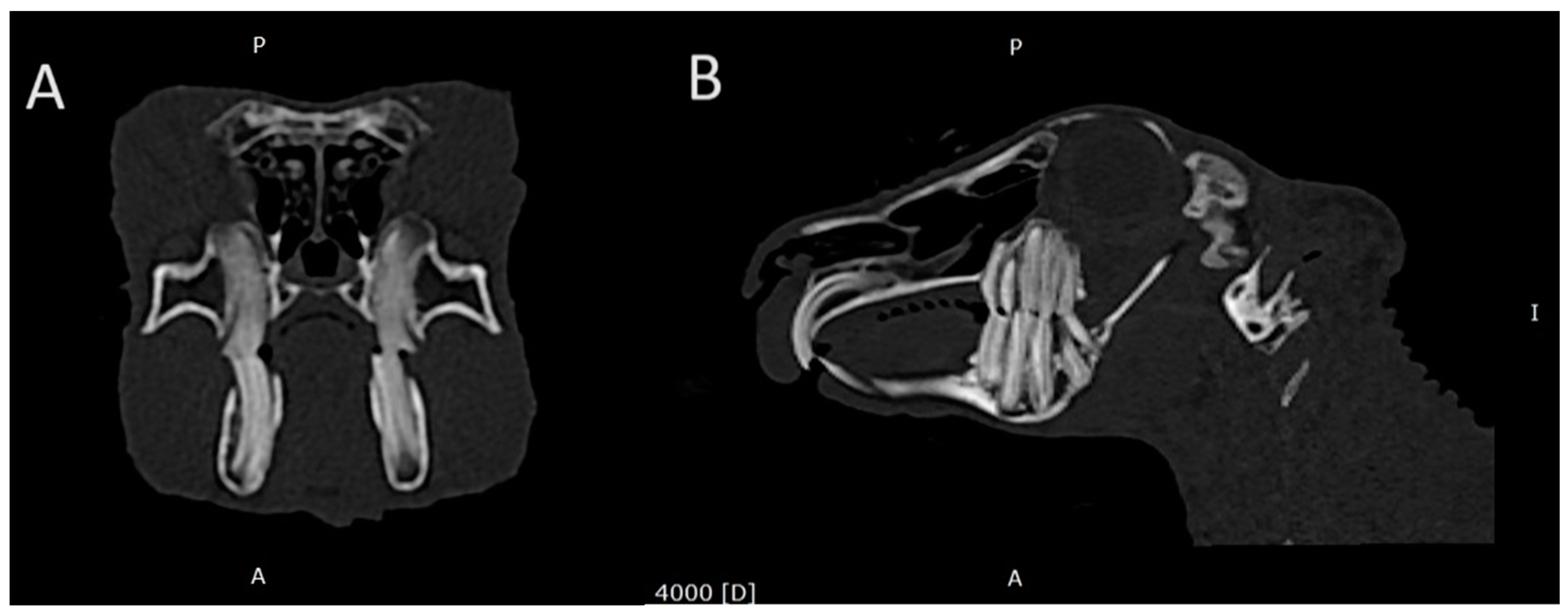Animals 14 01160 g002