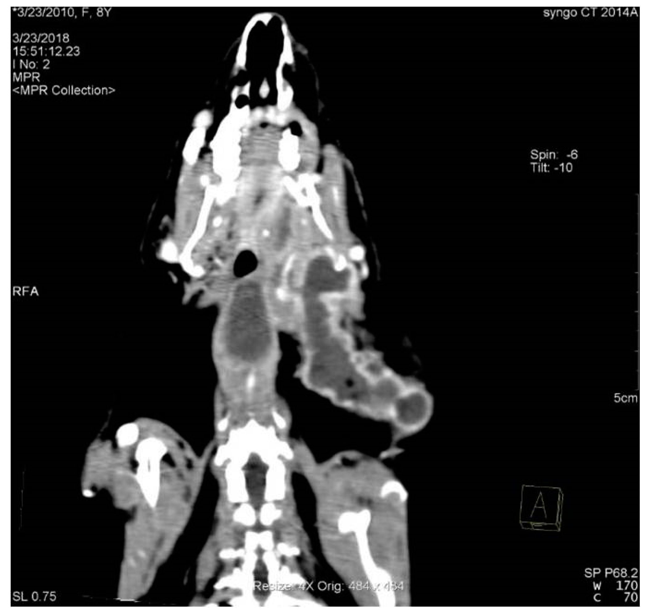 Animals 14 01160 g003