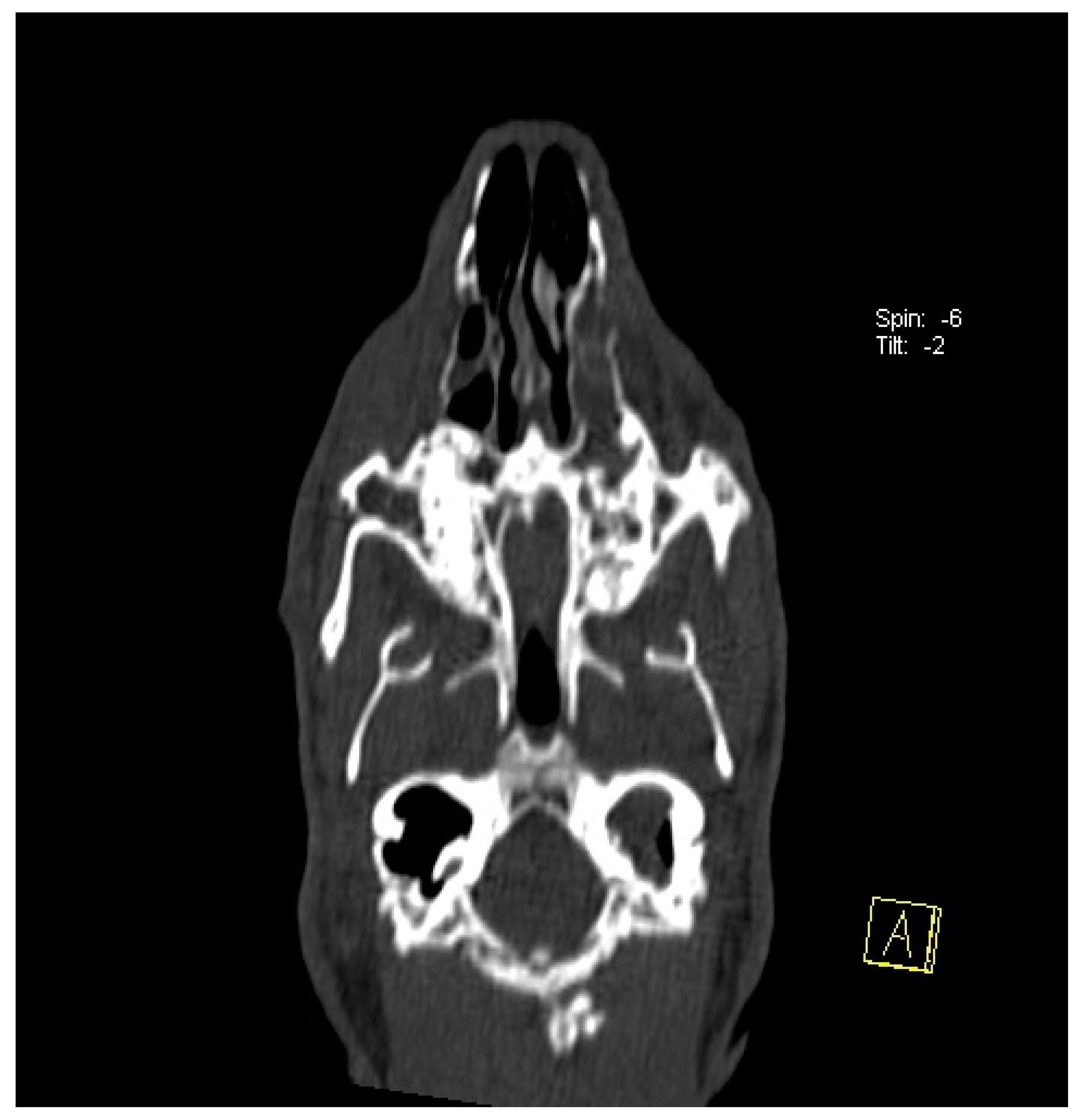 Animals 14 01160 g006