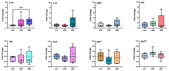 Dietary Artemisia arborescens Supplementation Effects on