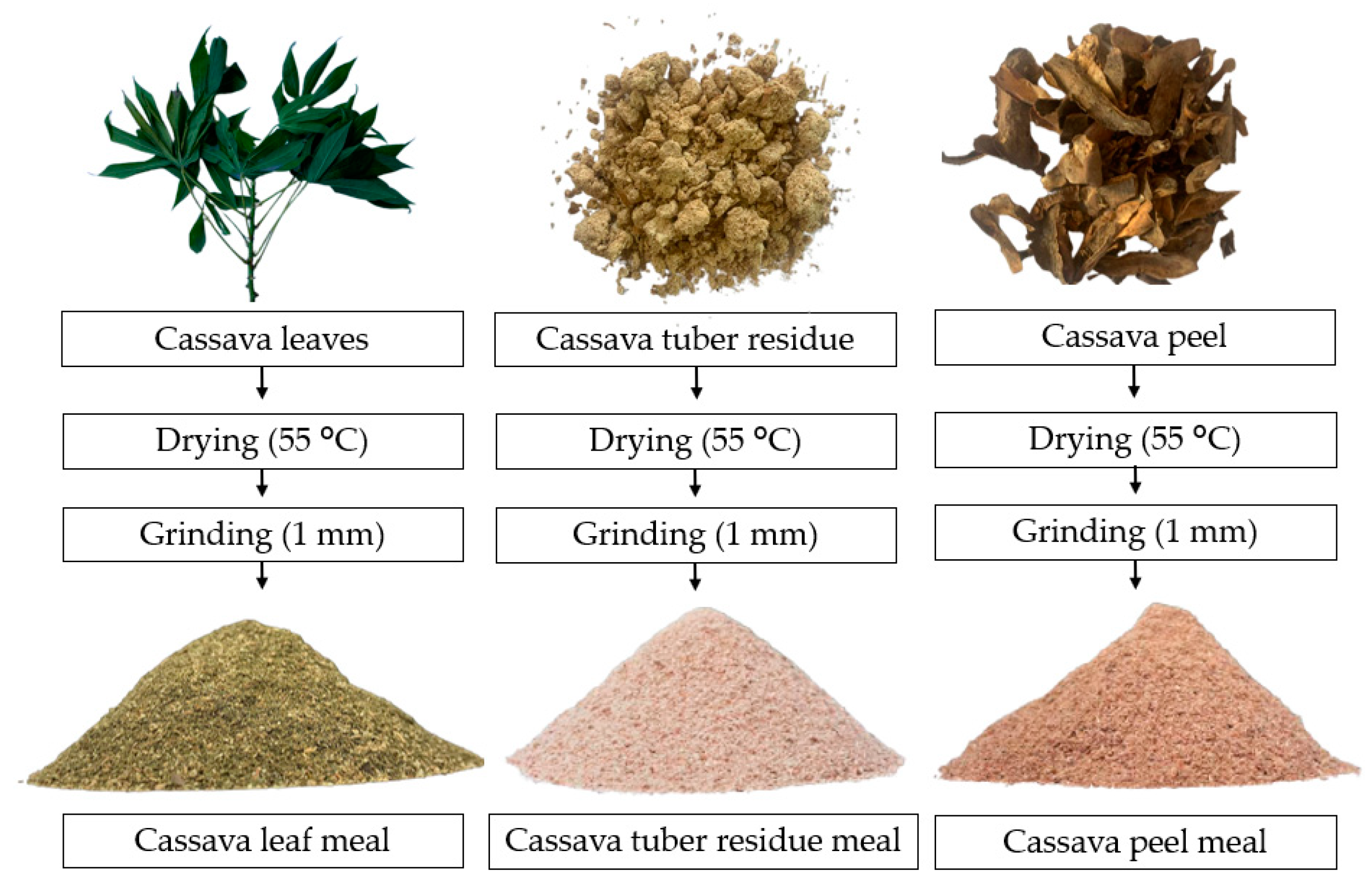 Animals 14 01165 g001