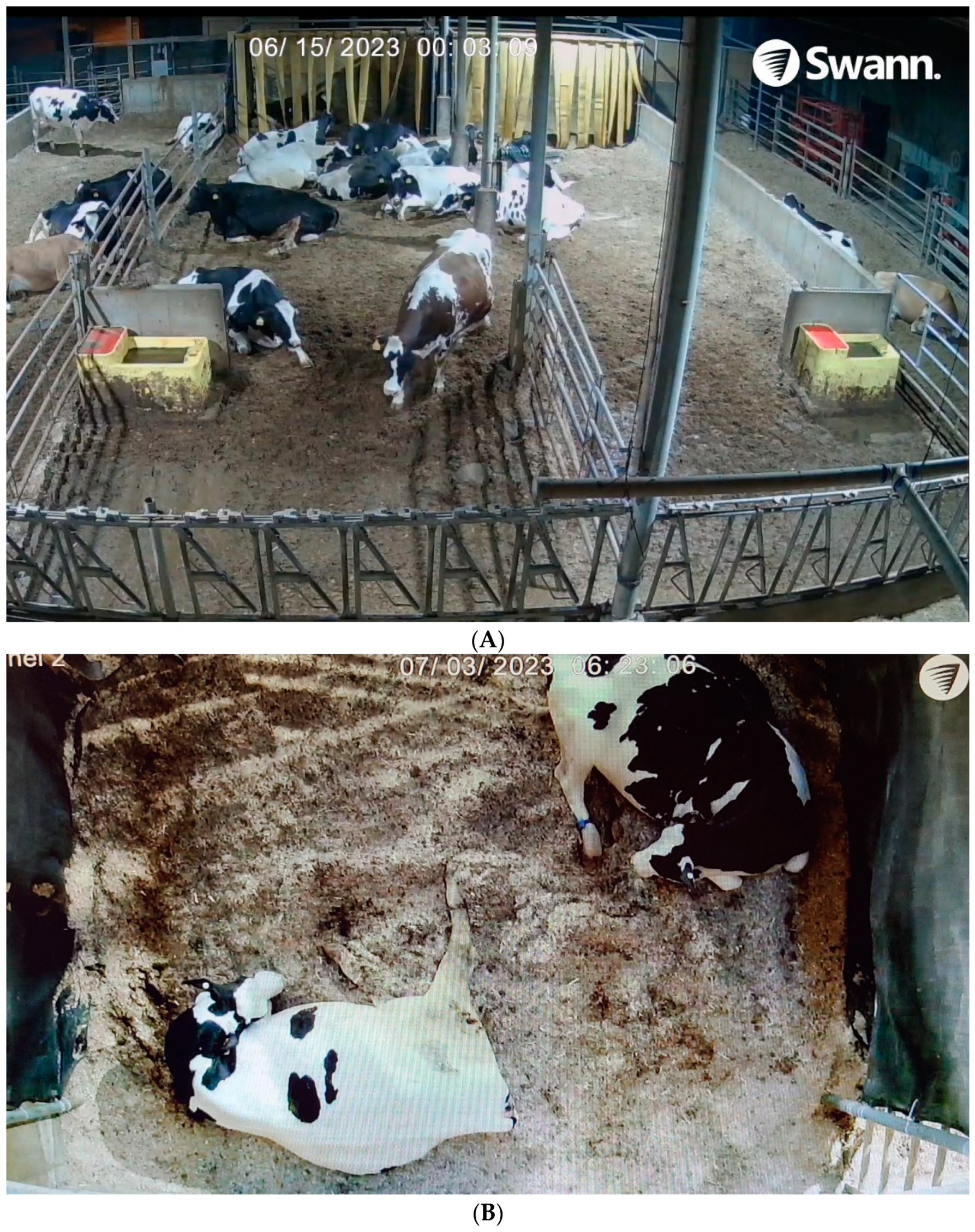 Animals 14 01171 g001